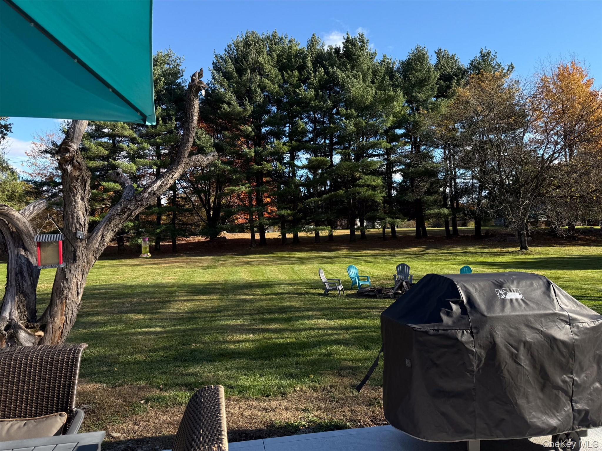 #5 photo, 254 Long Lane, Pine Bush , NY 12721