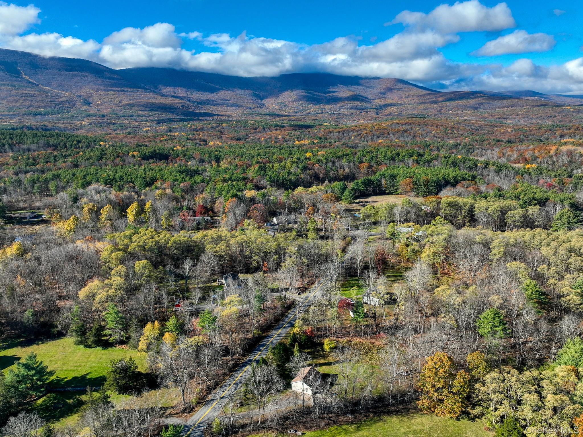 #2 photo, 470 Edison Timmerman Road, Cairo , NY 12413