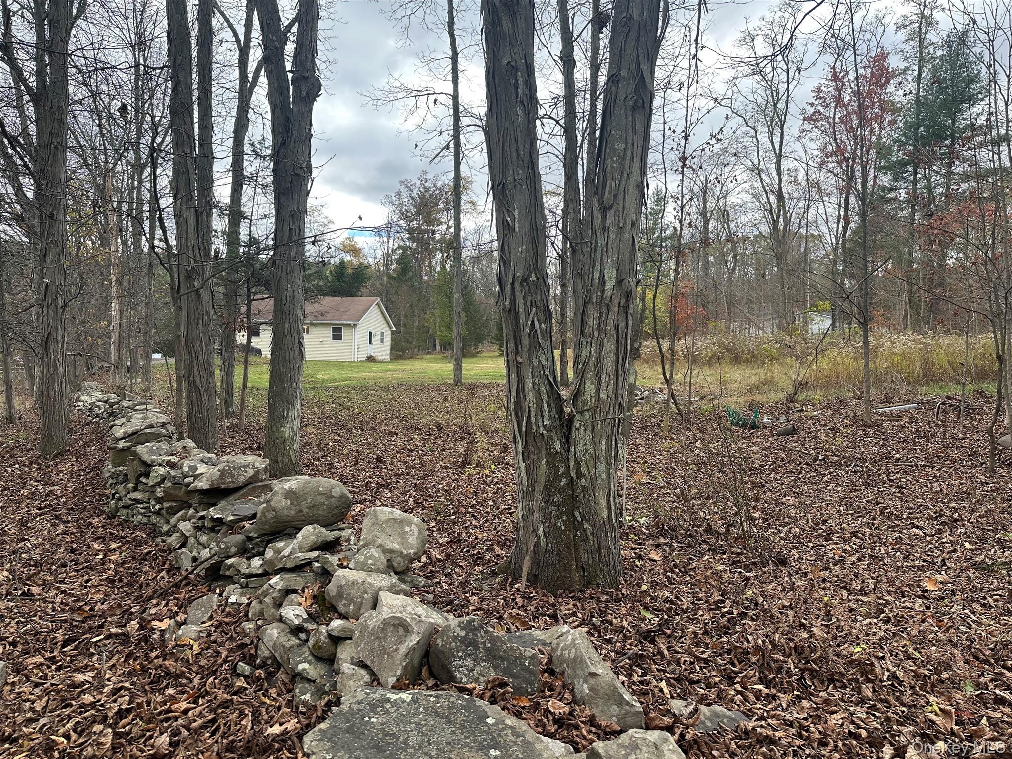 #3 photo, 470 Edison Timmerman Road, Cairo , NY 12413