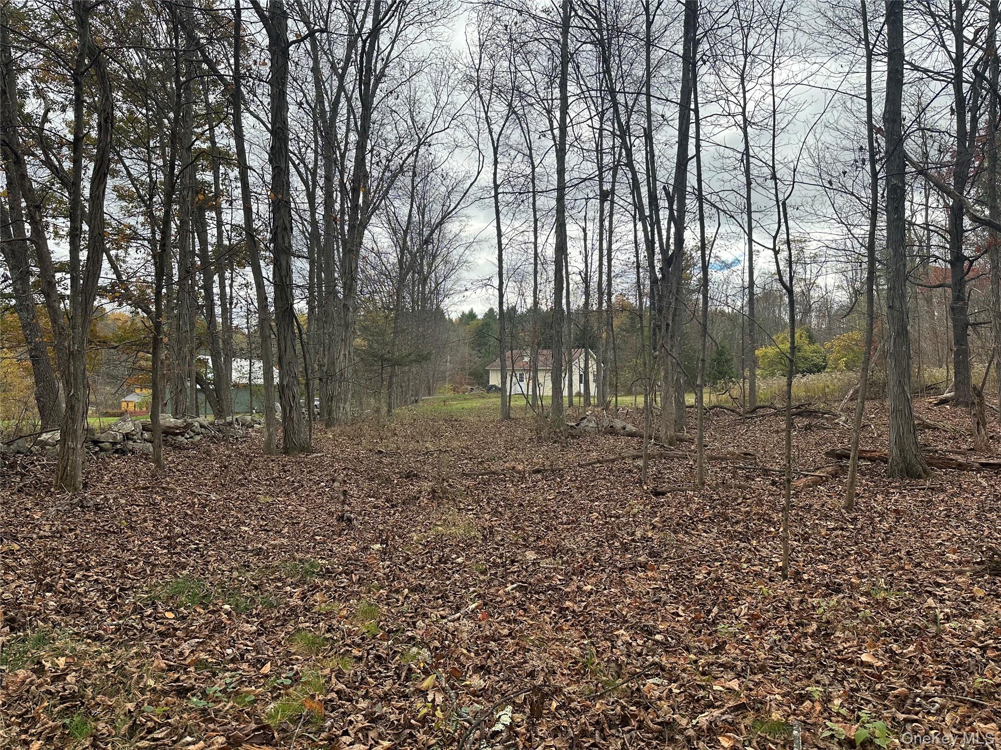 #4 photo, 470 Edison Timmerman Road, Cairo , NY 12413