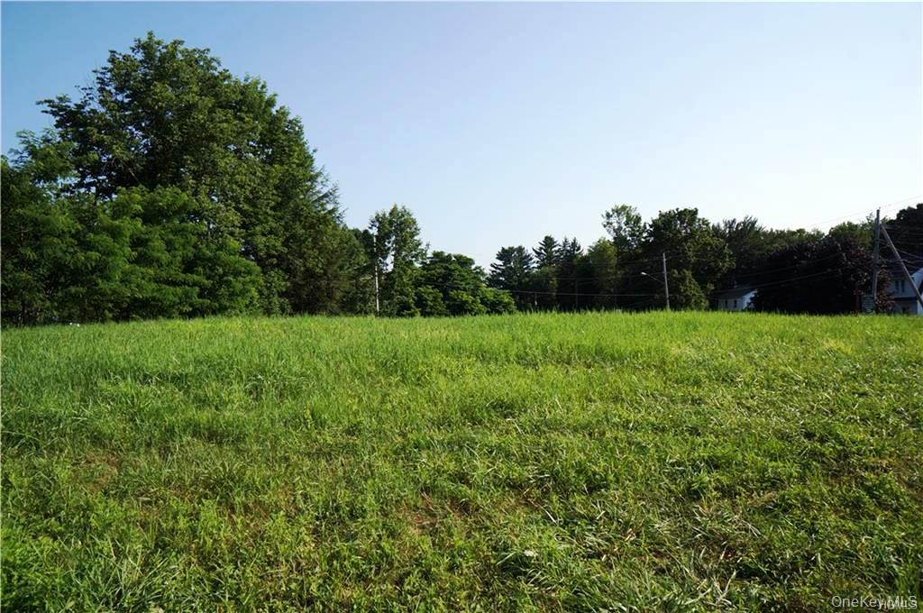 #19 photo, Lot 18 Horseshoe Lake Road and State Route 55, Kauneonga Lake , NY 12720