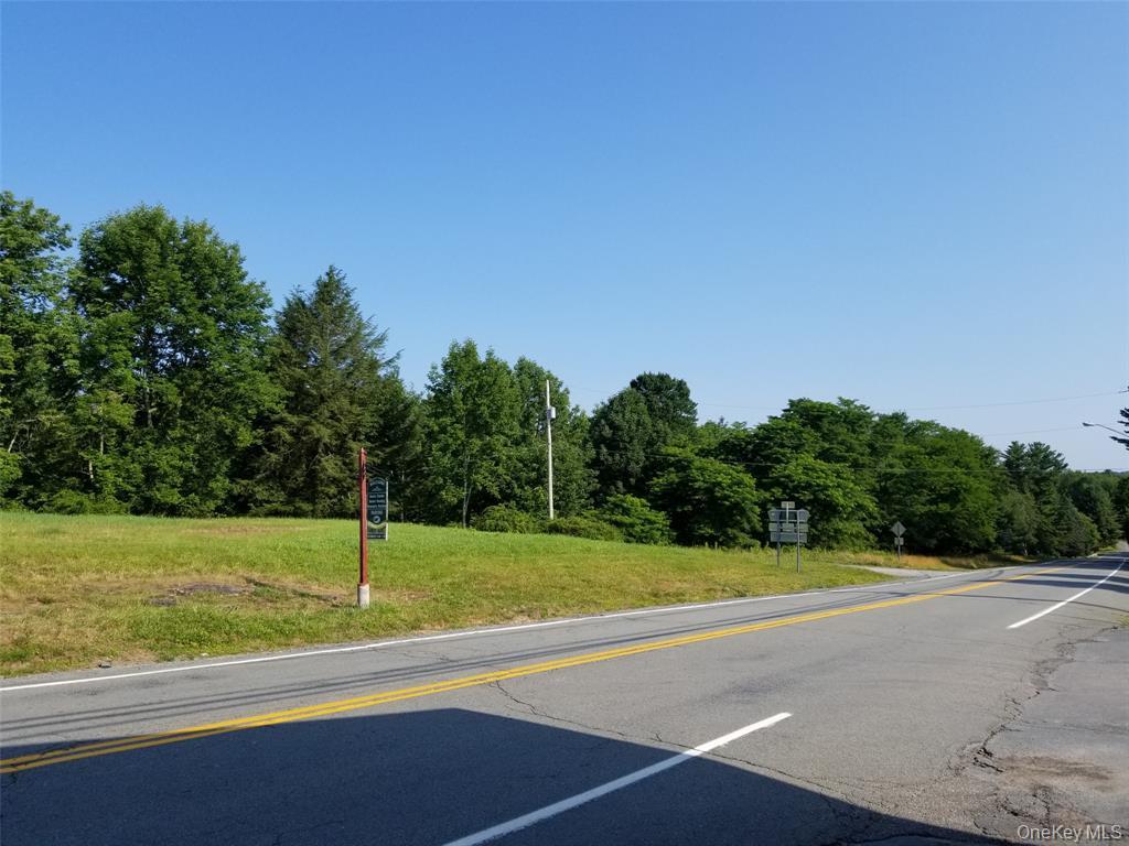 #8 photo, Lot 18 Horseshoe Lake Road and State Route 55, Kauneonga Lake , NY 12720