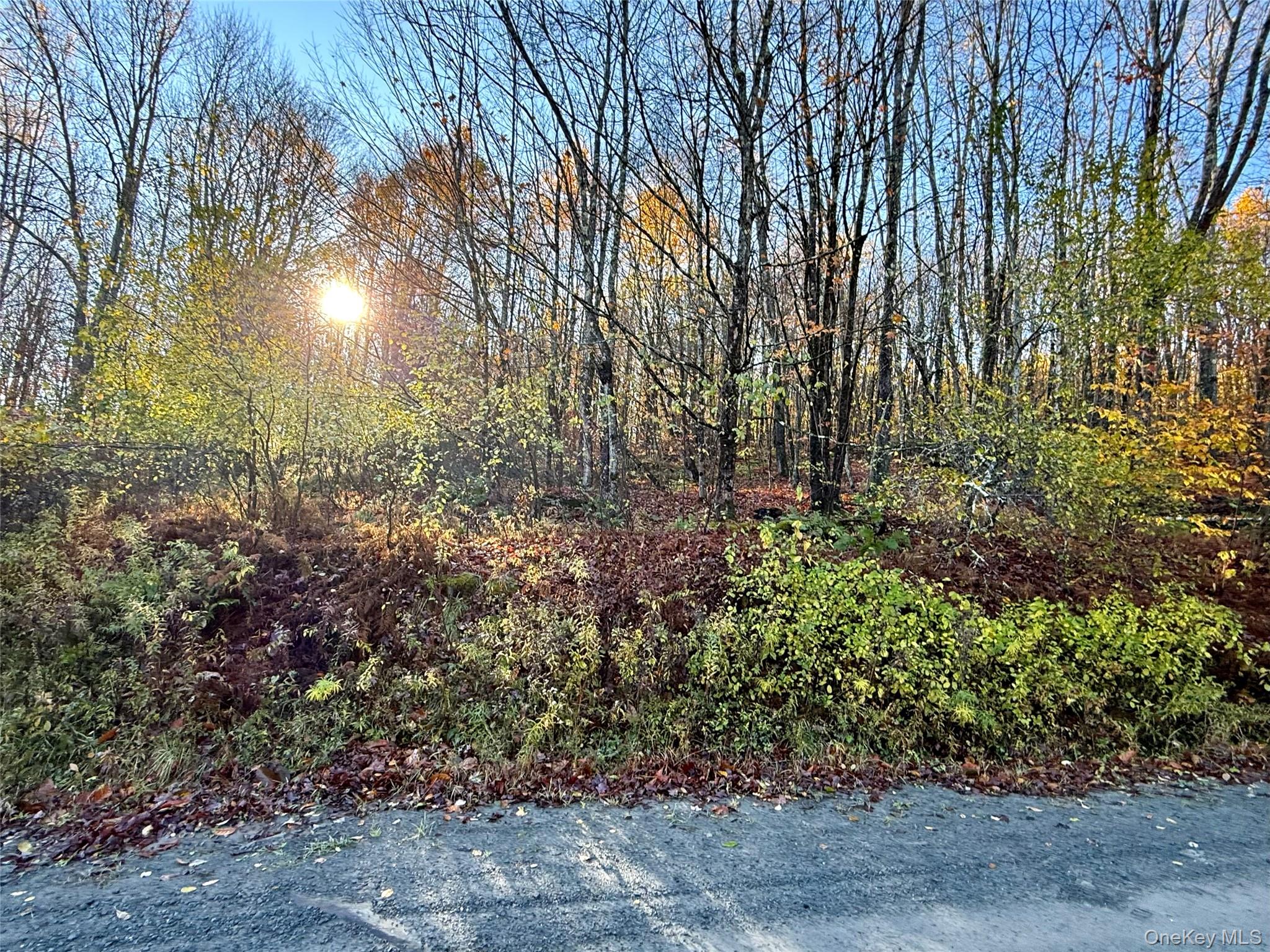 #10 photo, Tr 4, Fremont Center , NY 12736