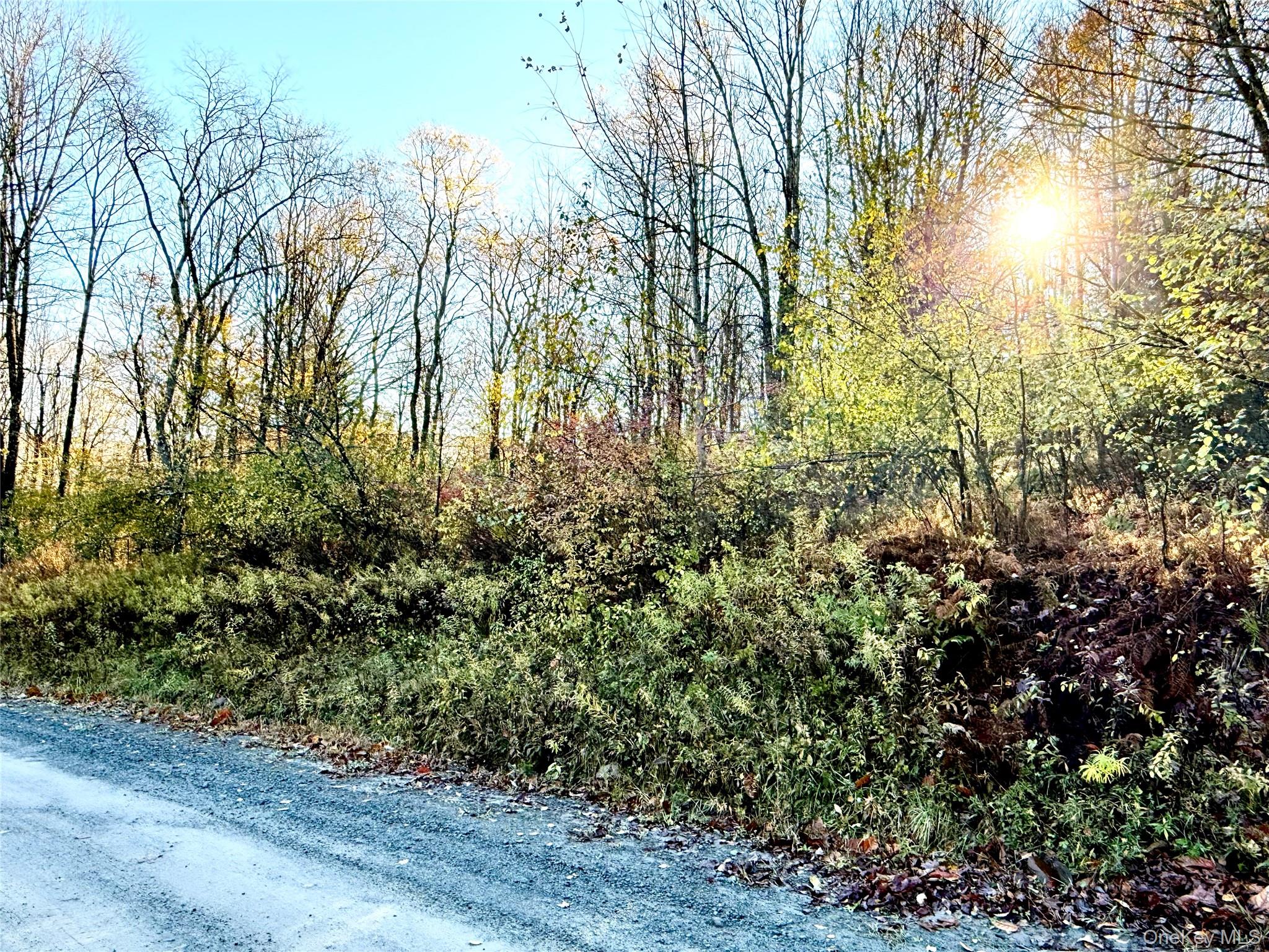 #11 photo, Tr 4, Fremont Center , NY 12736