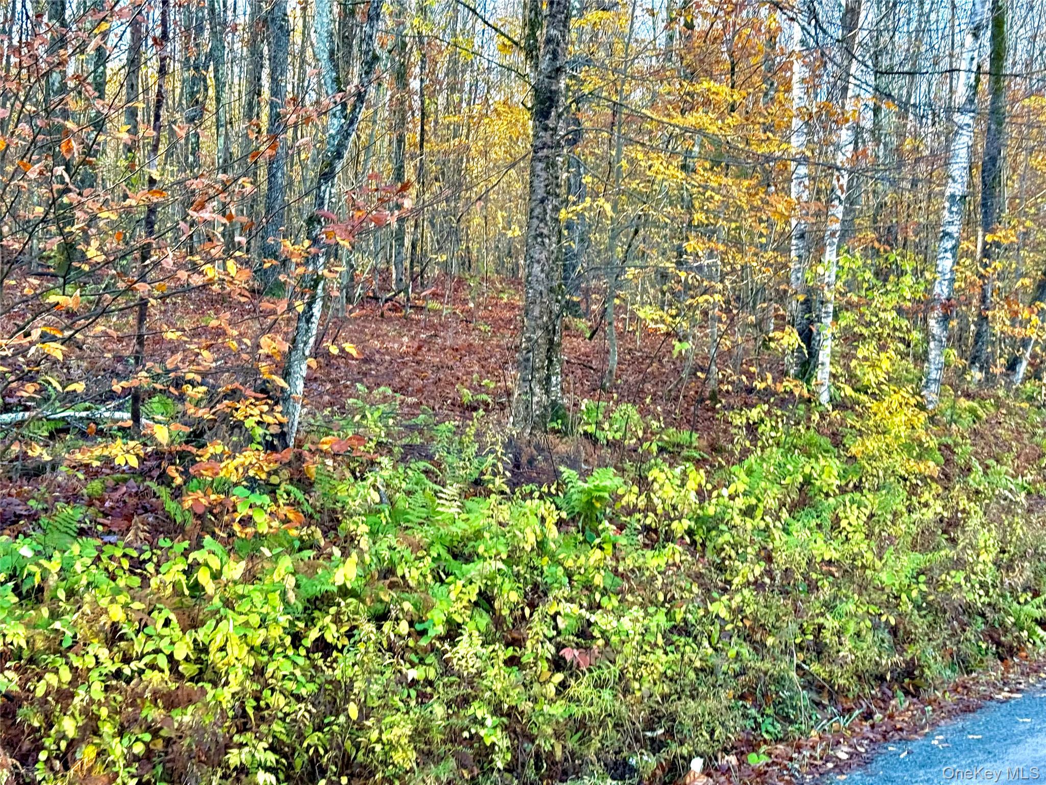 #12 photo, Tr 4, Fremont Center , NY 12736