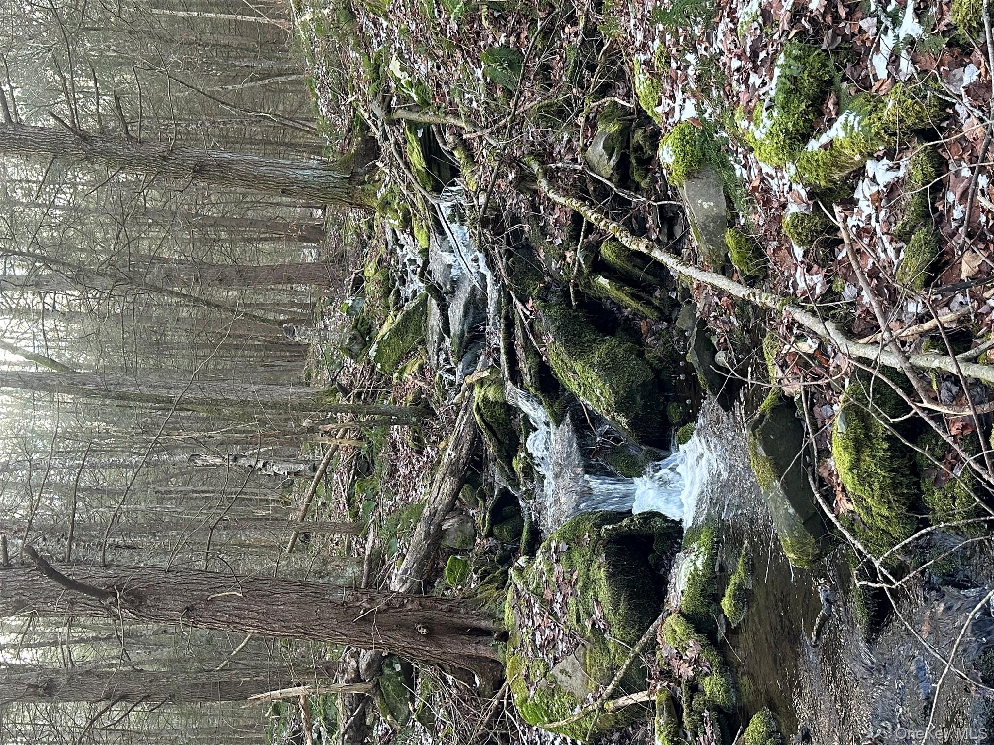 #13 photo, Tr 4, Fremont Center , NY 12736