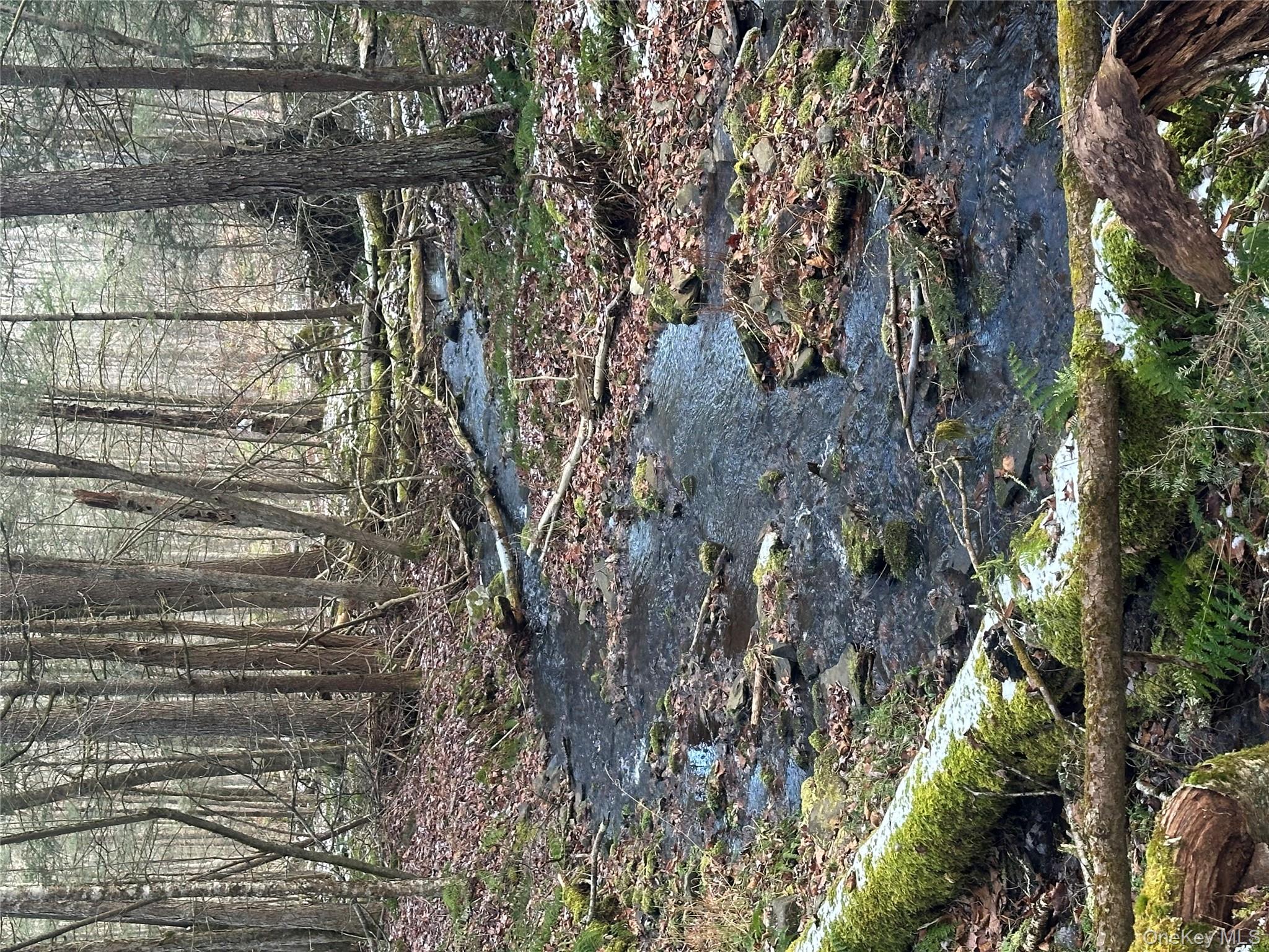 #14 photo, Tr 4, Fremont Center , NY 12736