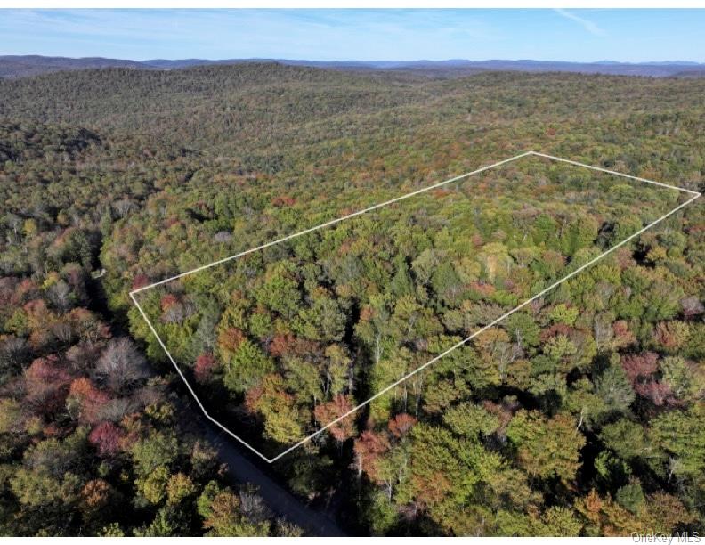 #2 photo, Tr 4, Fremont Center , NY 12736