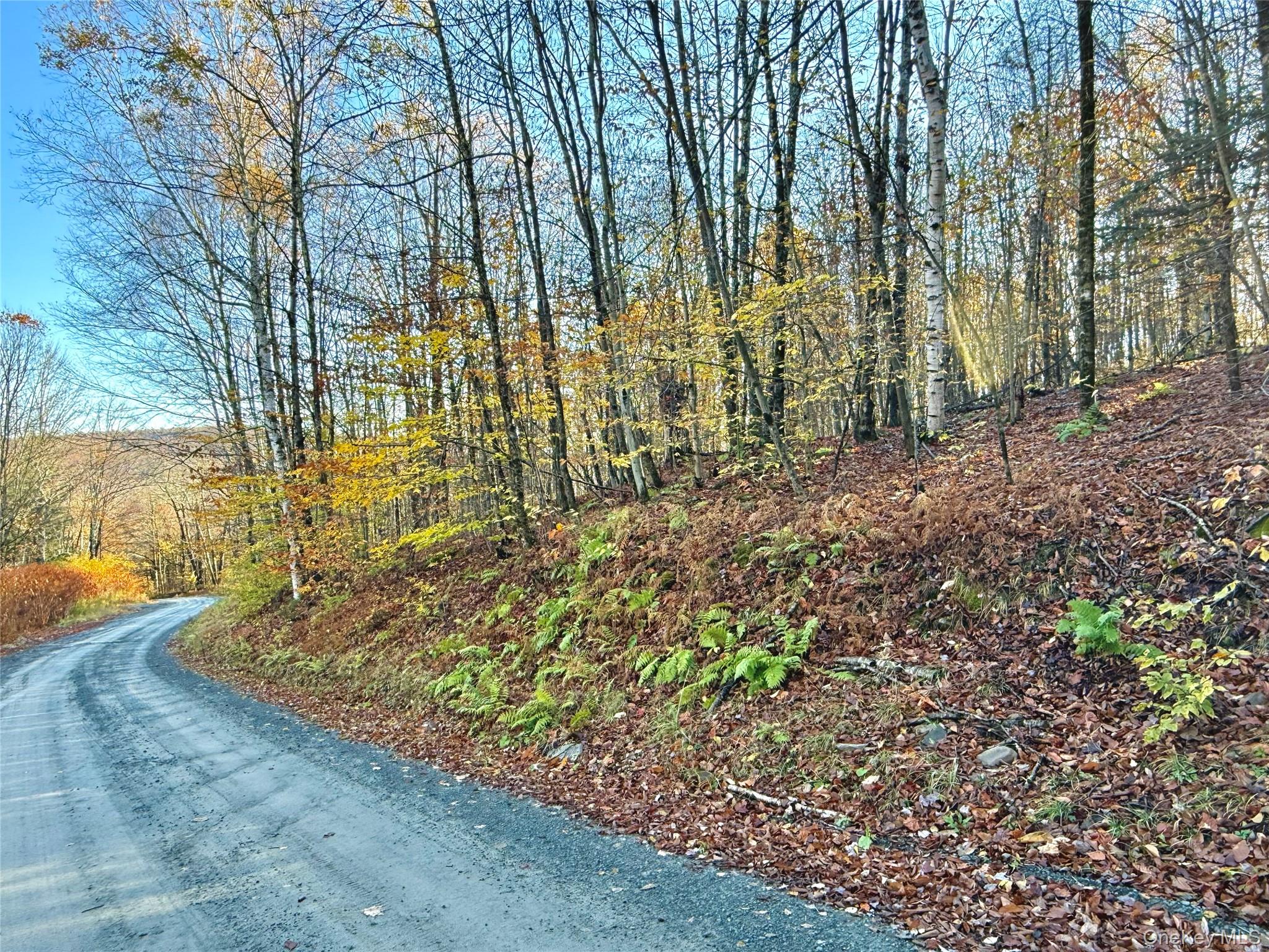 #3 photo, Tr 4, Fremont Center , NY 12736