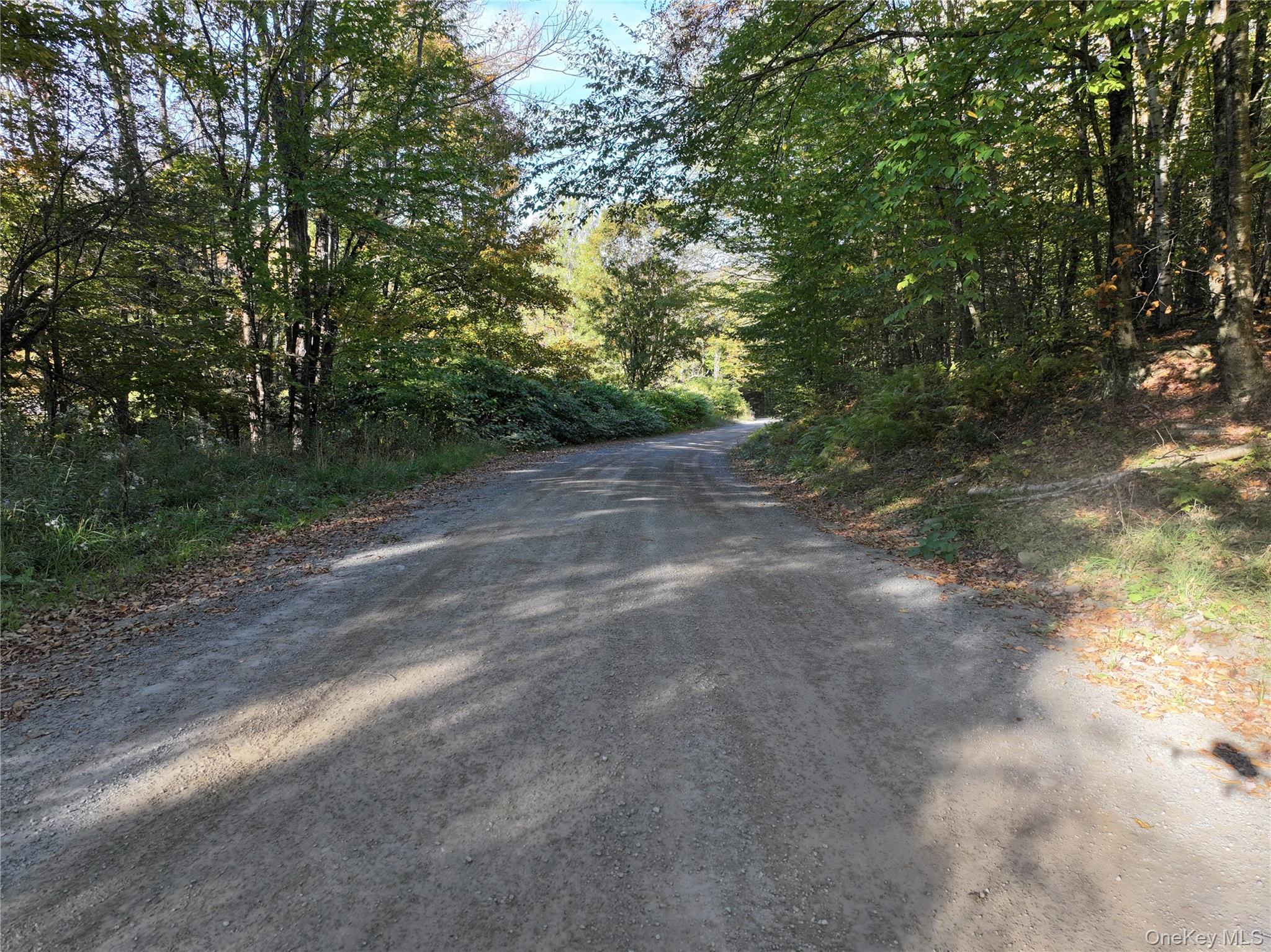 #6 photo, Tr 4, Fremont Center , NY 12736