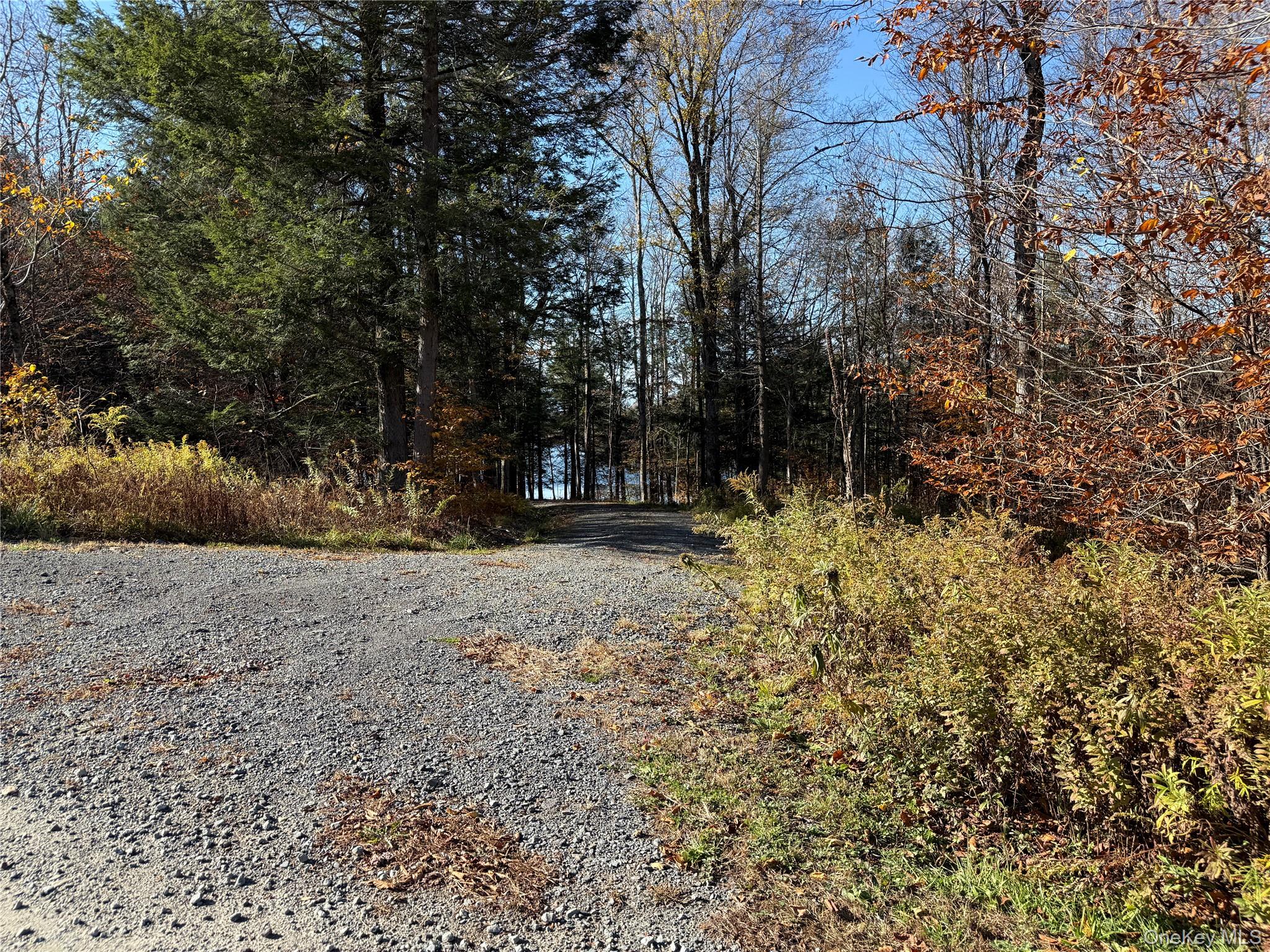 #4 photo, 17 Eagles Ridge Way, Parksville , NY 12768