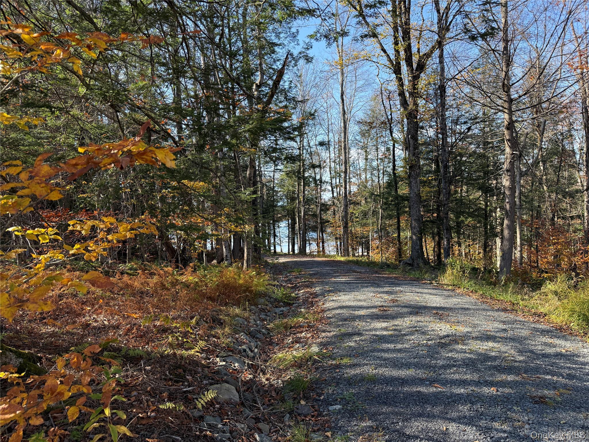 #5 photo, 17 Eagles Ridge Way, Parksville , NY 12768