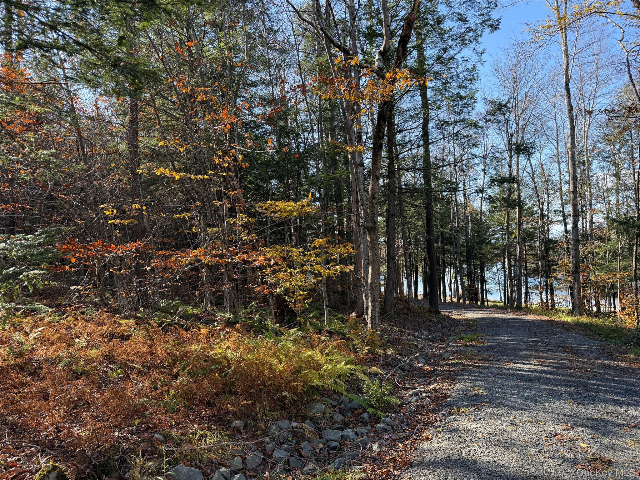 #6 photo, 17 Eagles Ridge Way, Parksville , NY 12768