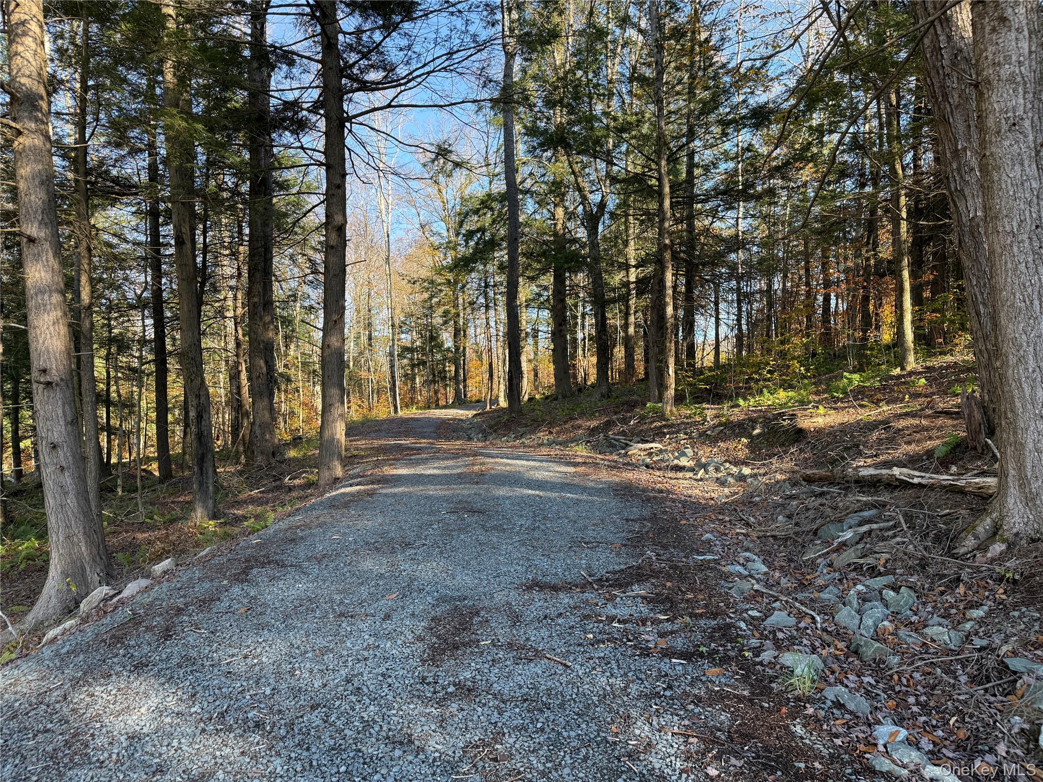 #7 photo, 17 Eagles Ridge Way, Parksville , NY 12768