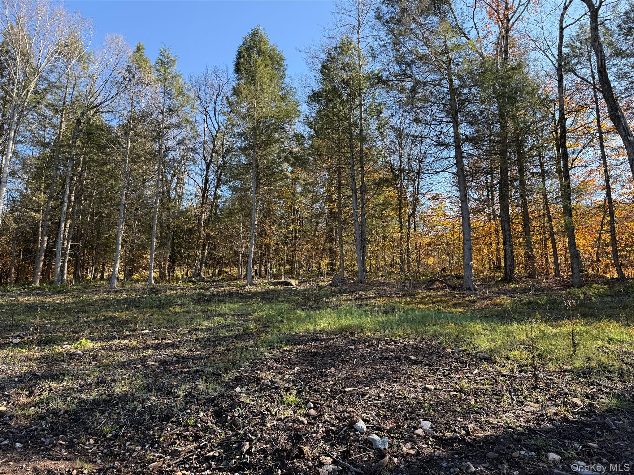 #8 photo, 17 Eagles Ridge Way, Parksville , NY 12768