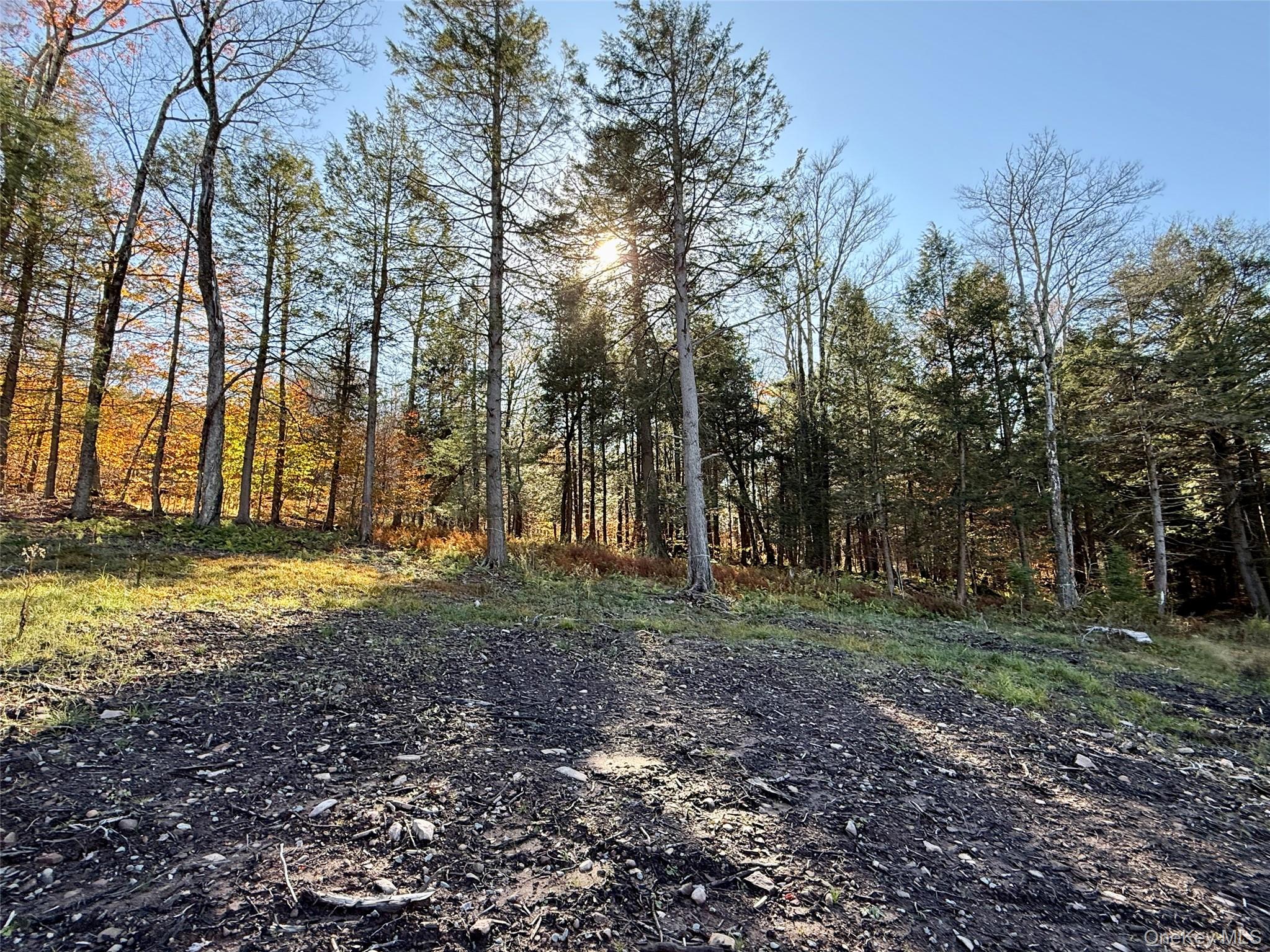 #9 photo, 17 Eagles Ridge Way, Parksville , NY 12768