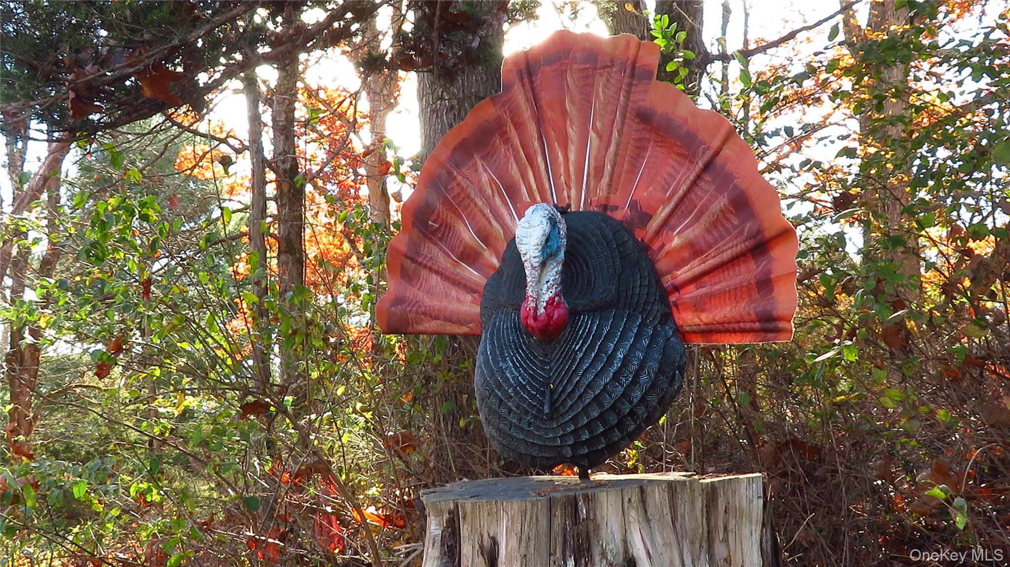 #7 photo, 00 N. Quaker Lane, Staatsburg , NY 