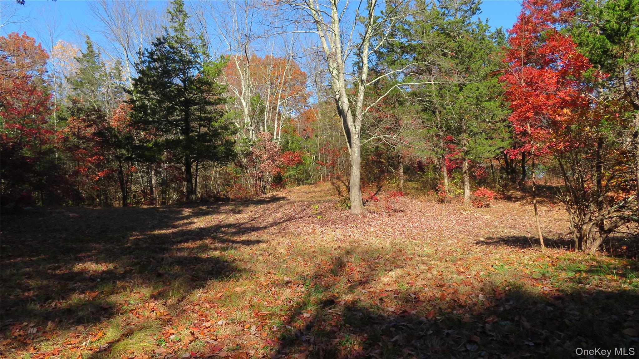 #3 photo, N. Quaker Lane, Staatsburg , NY 