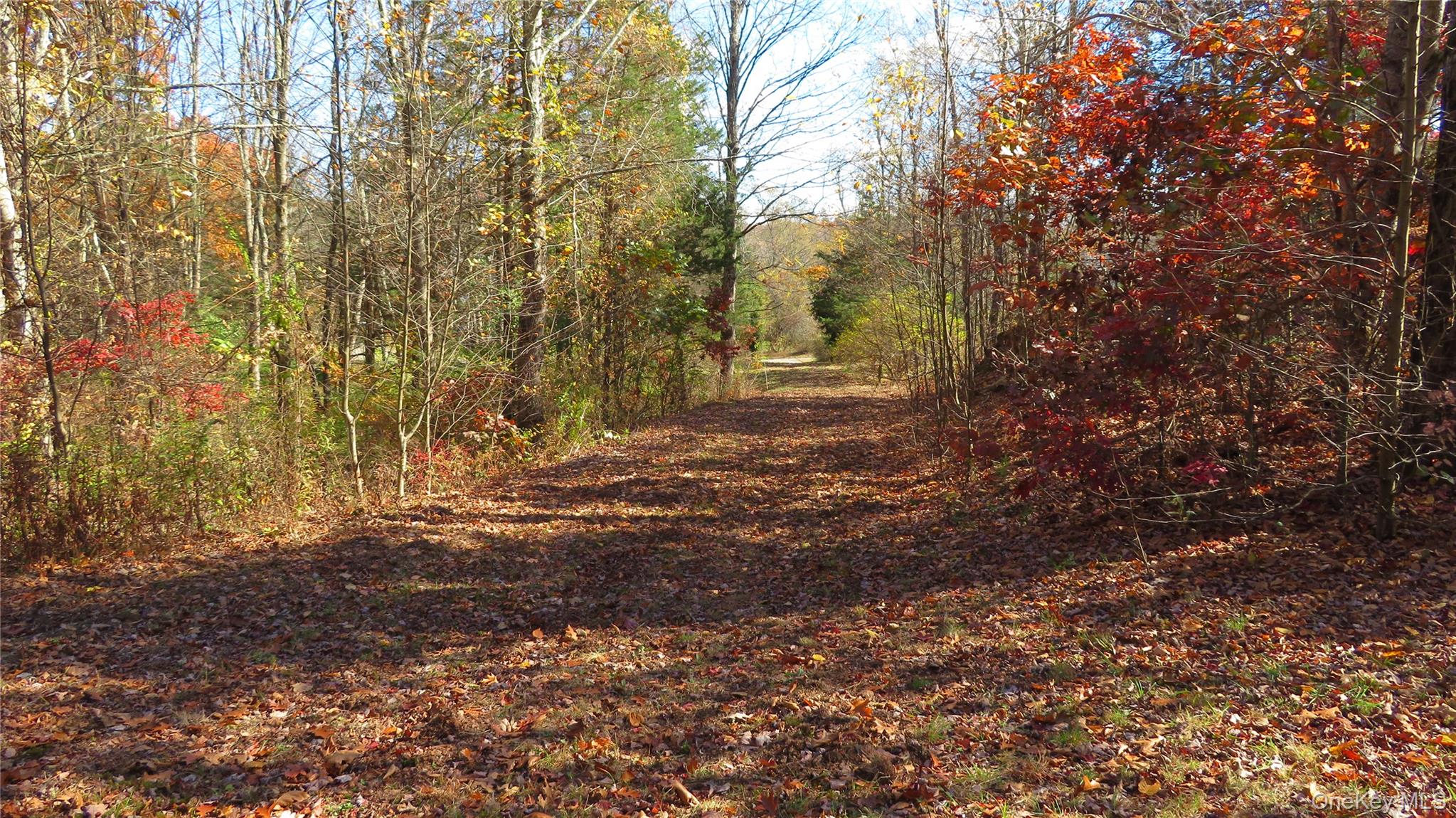 #4 photo, N. Quaker Lane, Staatsburg , NY 