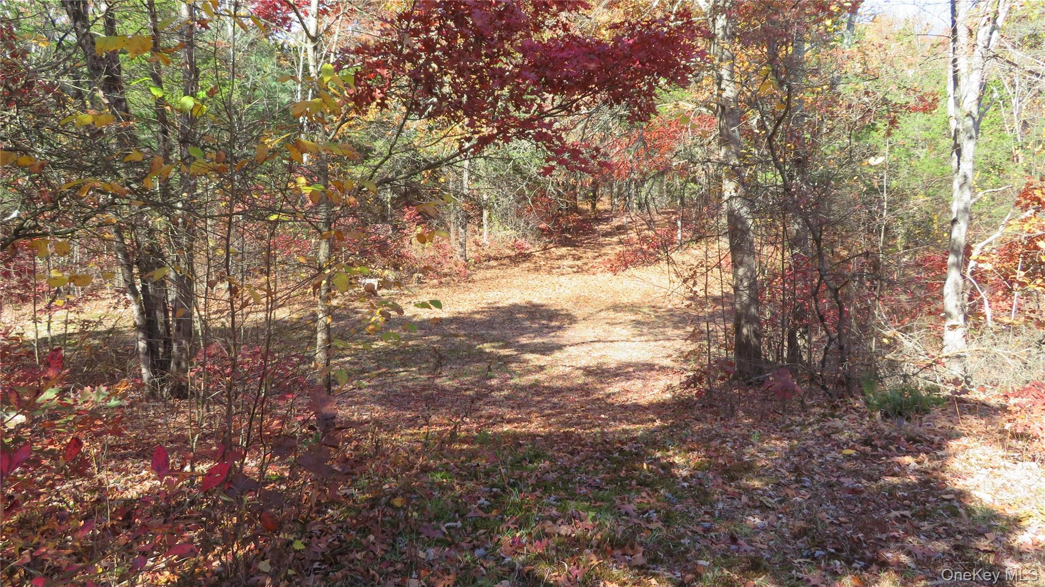 #5 photo, N. Quaker Lane, Staatsburg , NY 