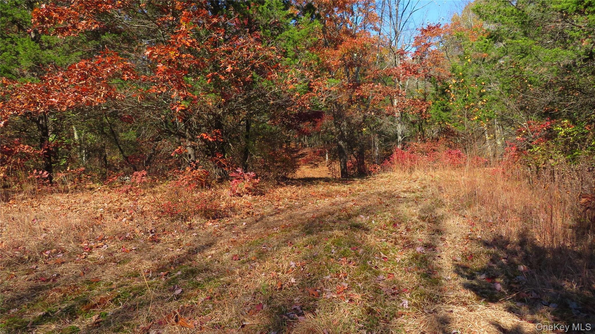 #6 photo, N. Quaker Lane, Staatsburg , NY 