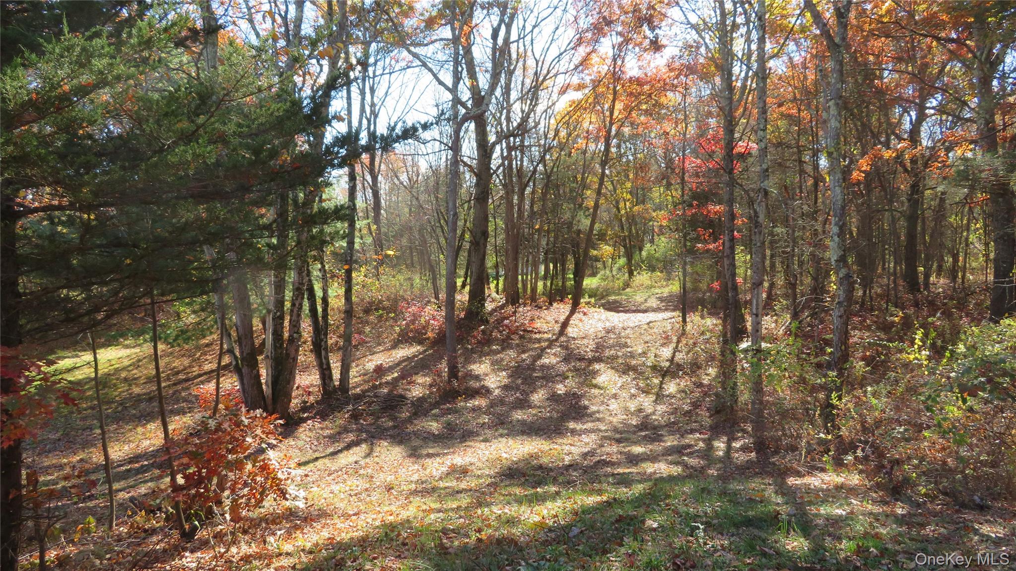 #7 photo, N. Quaker Lane, Staatsburg , NY 