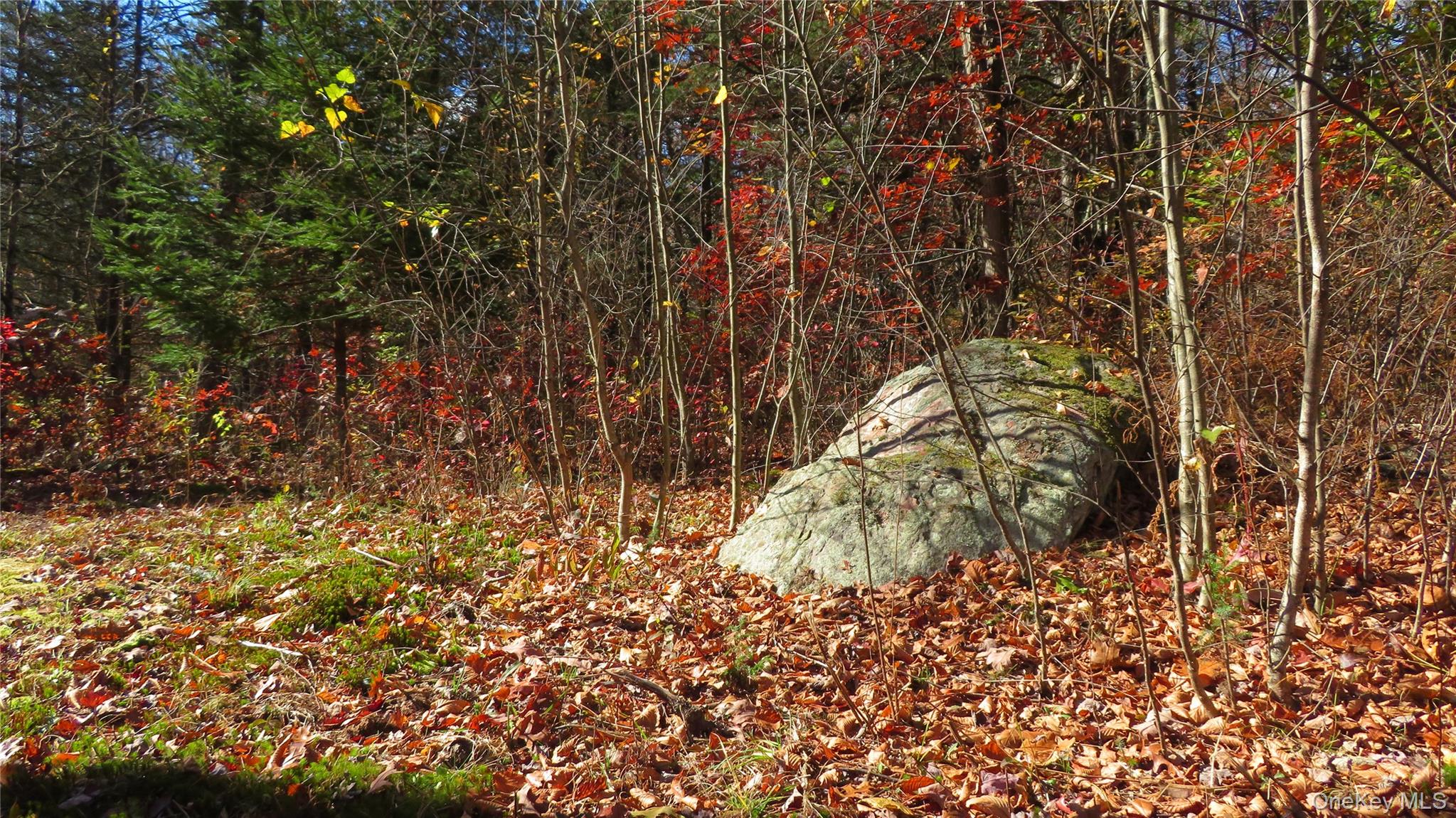 #8 photo, N. Quaker Lane, Staatsburg , NY 