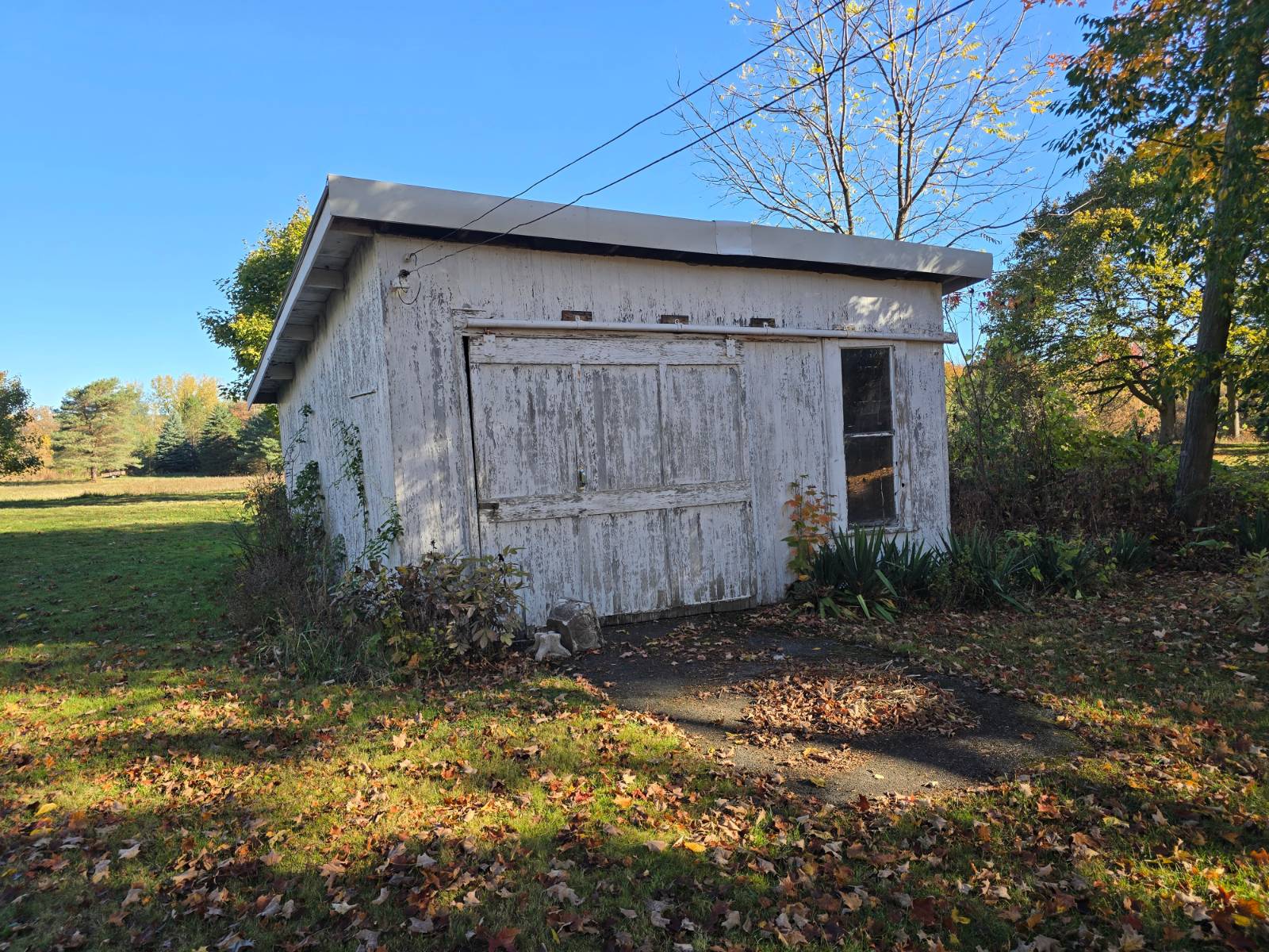 #6 photo, 47 Rochester St, Bergen , NY 14416