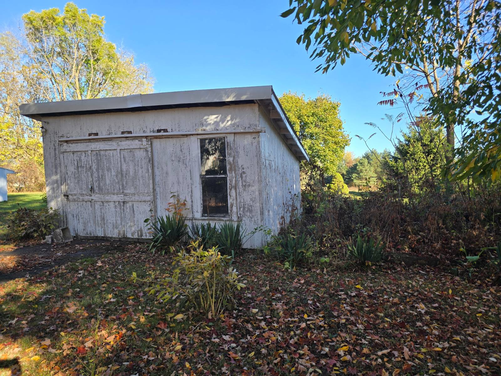 #7 photo, 47 Rochester St, Bergen , NY 14416