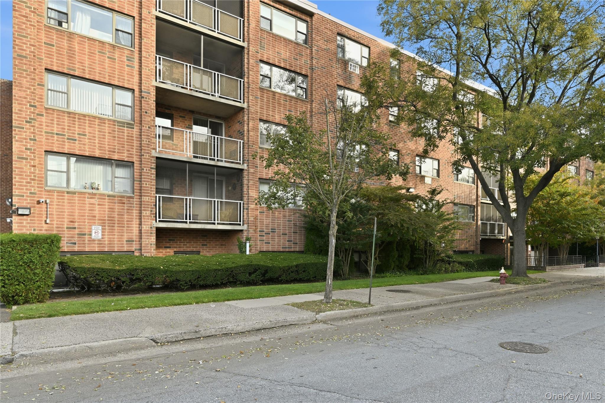 #20 photo, 100 Clinton Avenue, ナッソー郡 Mineola , NY 11501