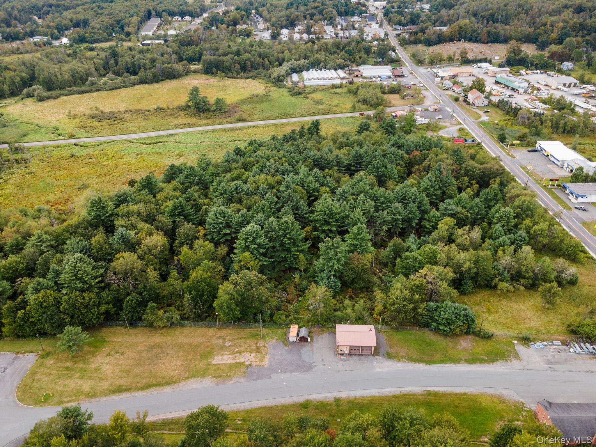 #11 photo, E Broadway, Monticello , NY 12701