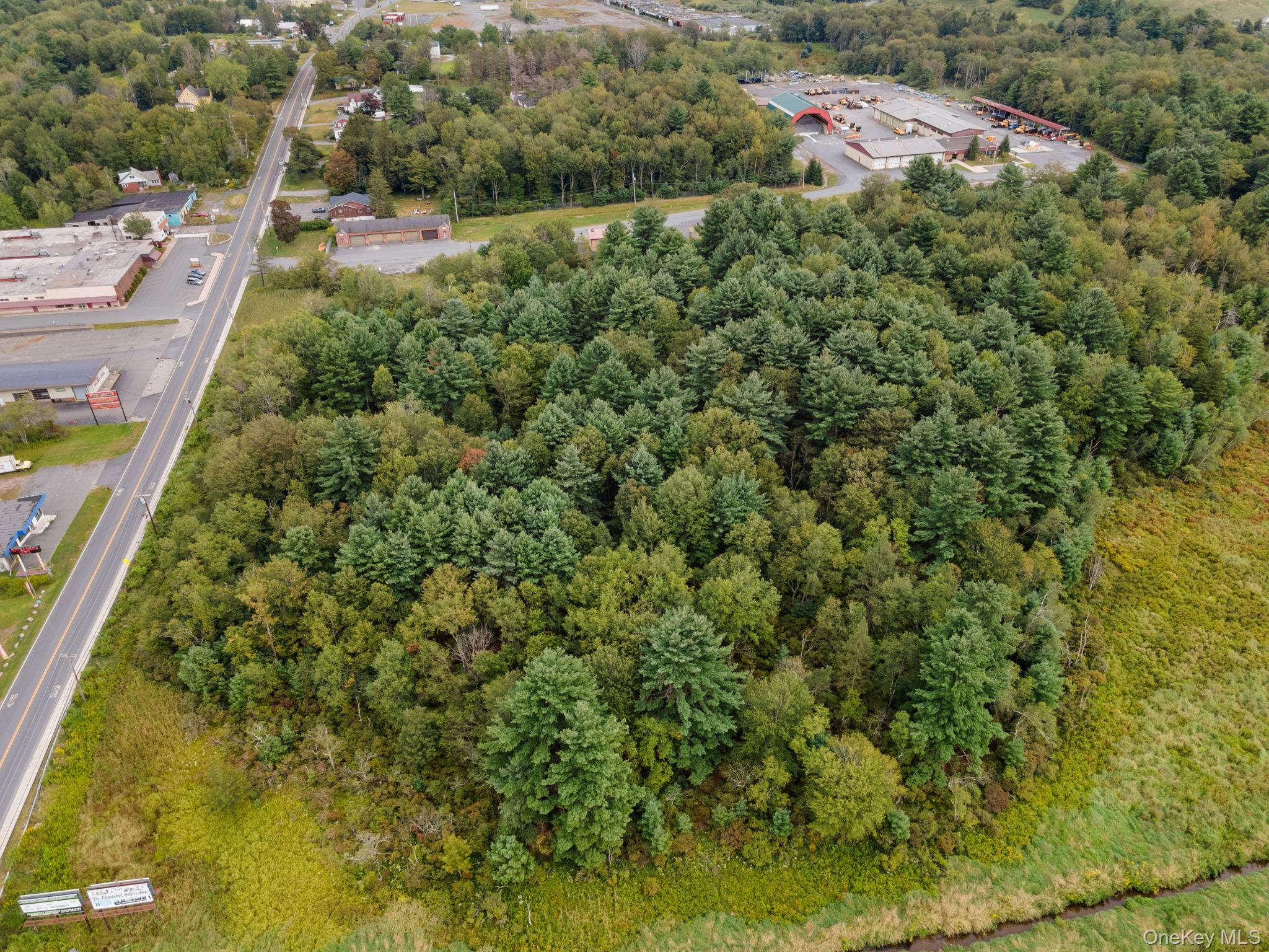 #4 photo, E Broadway, Monticello , NY 12701