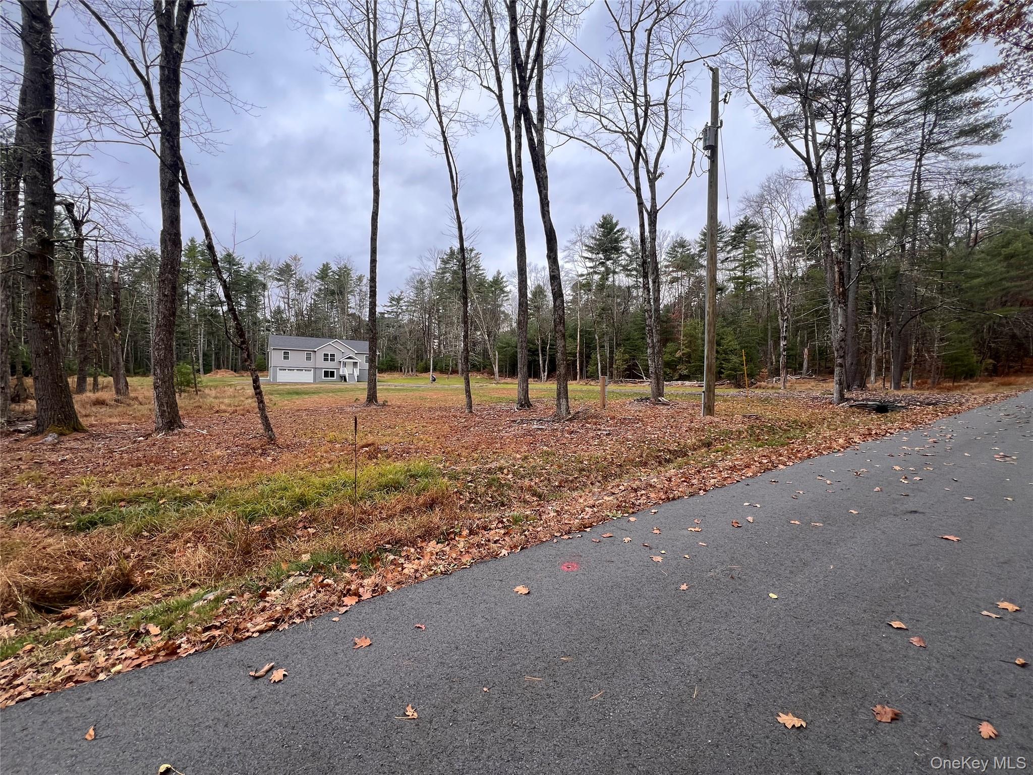 #2 photo, 26 Summit Drive, Barryville , NY 12719