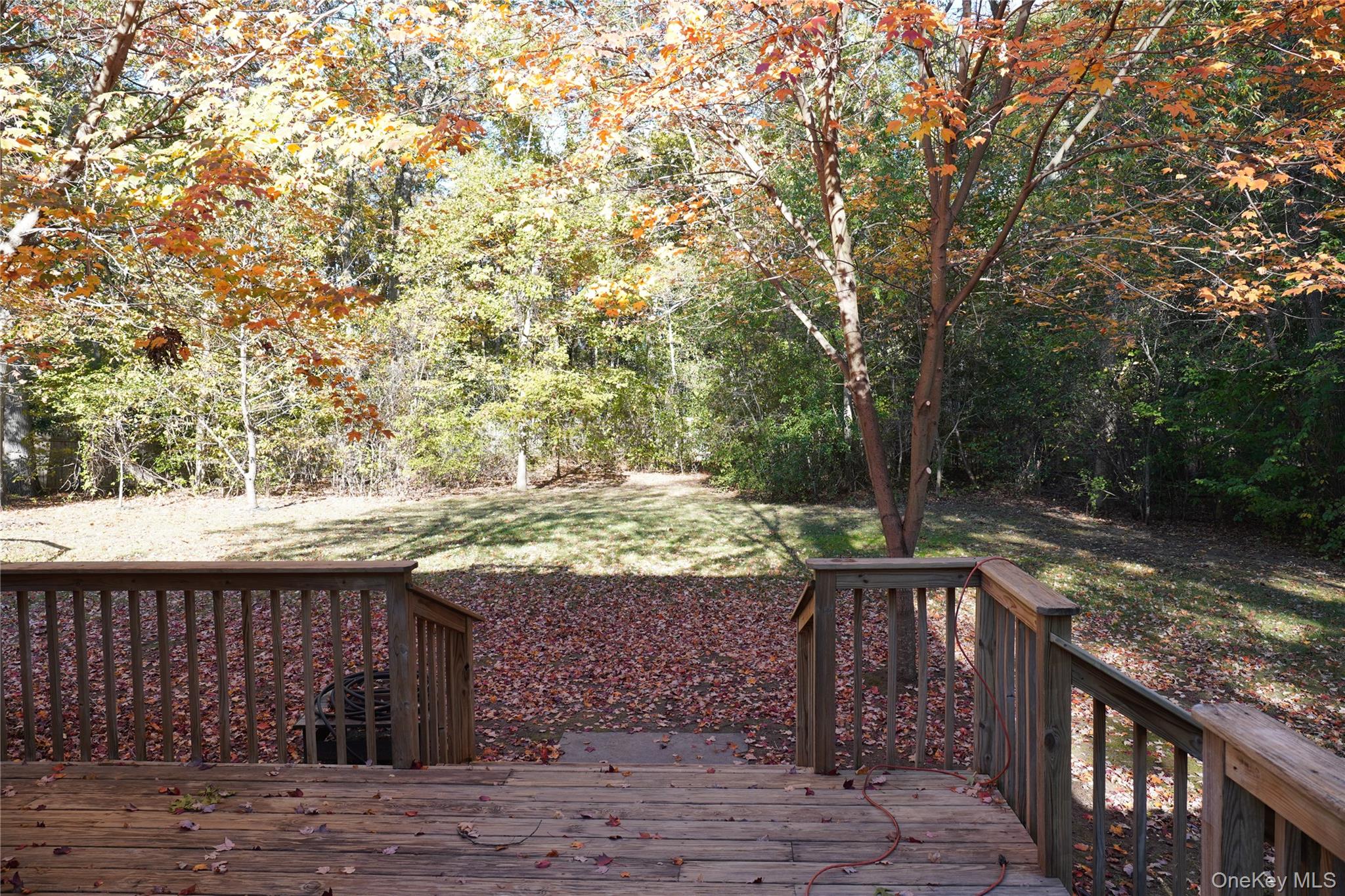 #5 photo, 11 Pamela Drive, サフォーク郡 Ridge , NY 11961