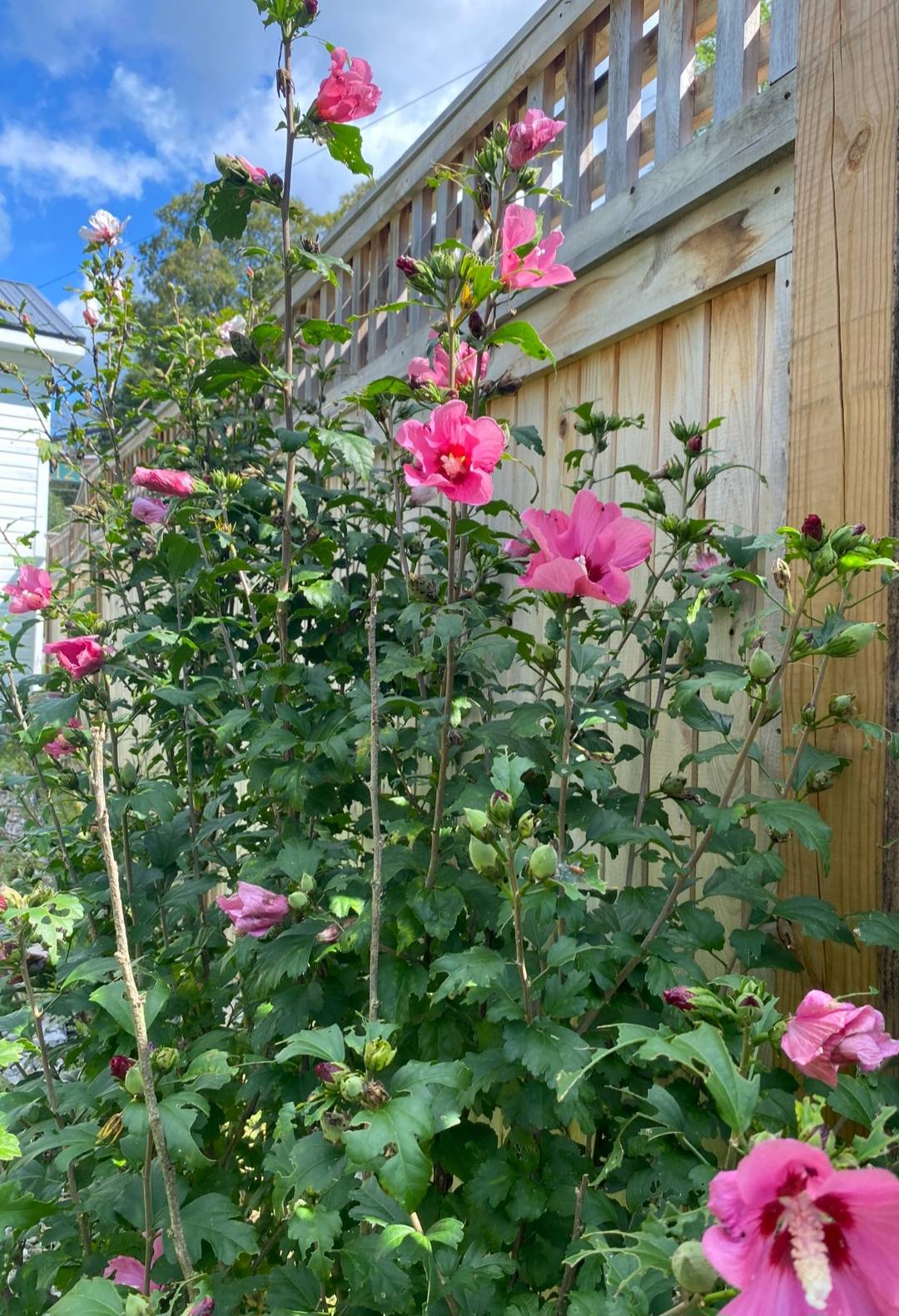 #28 photo, 121 Stanford Rd, Millbrook , NY 12545