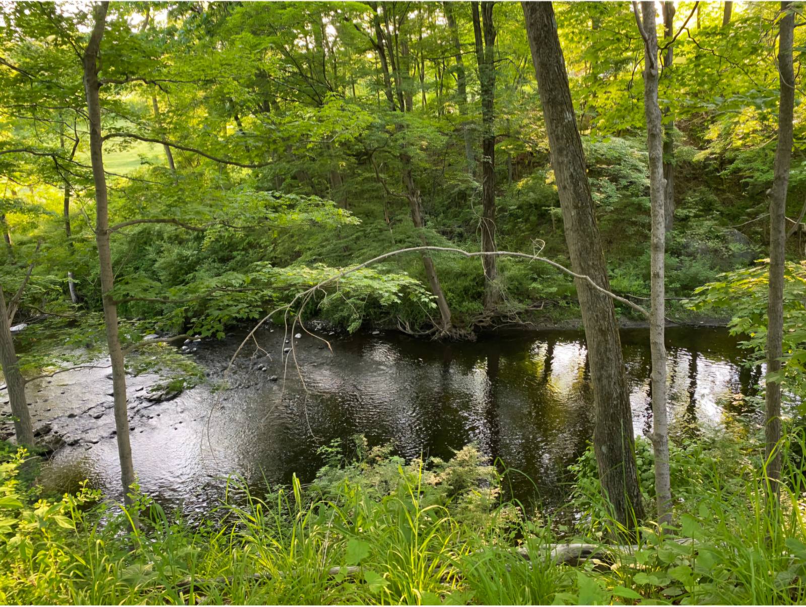 #4 photo, 121 Stanford Rd, Millbrook , NY 12545