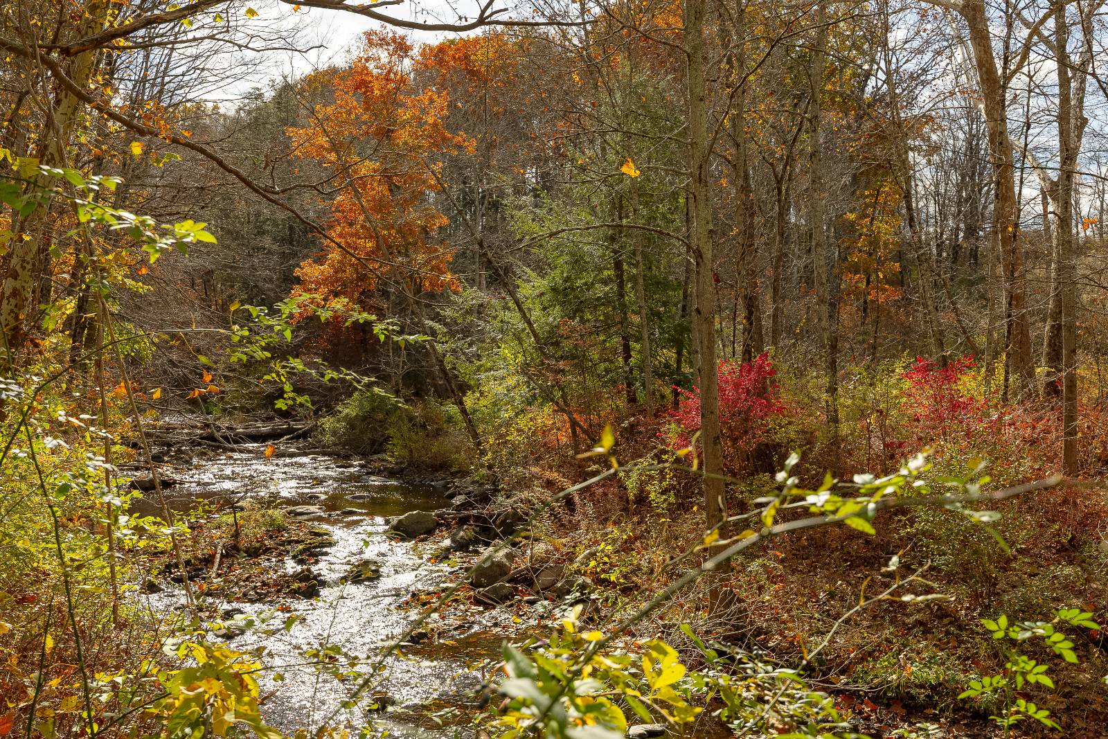 #8 photo, 121 Stanford Rd, Millbrook , NY 12545