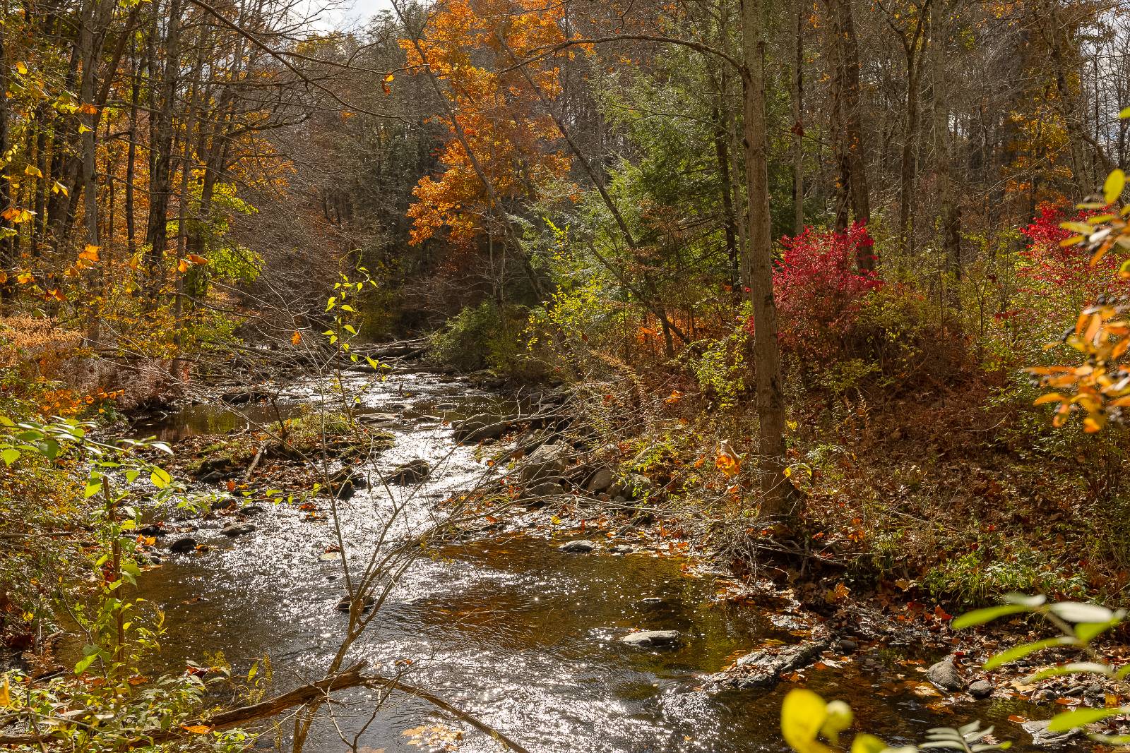 #9 photo, 121 Stanford Rd, Millbrook , NY 12545