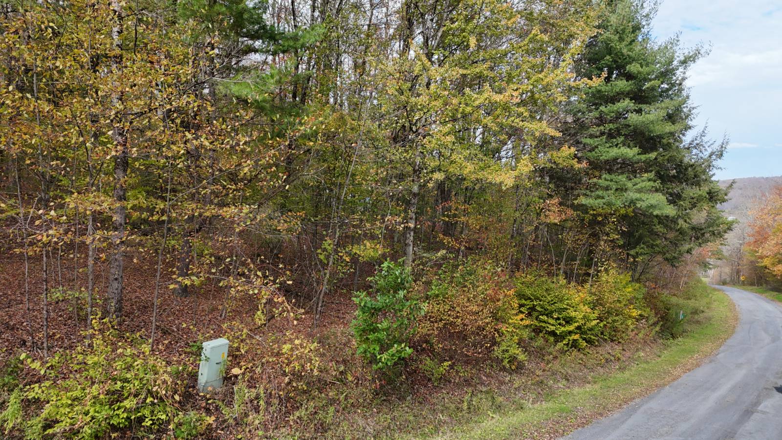 #11 photo, 491 Tamarac Rd, Oxford , NY 13830