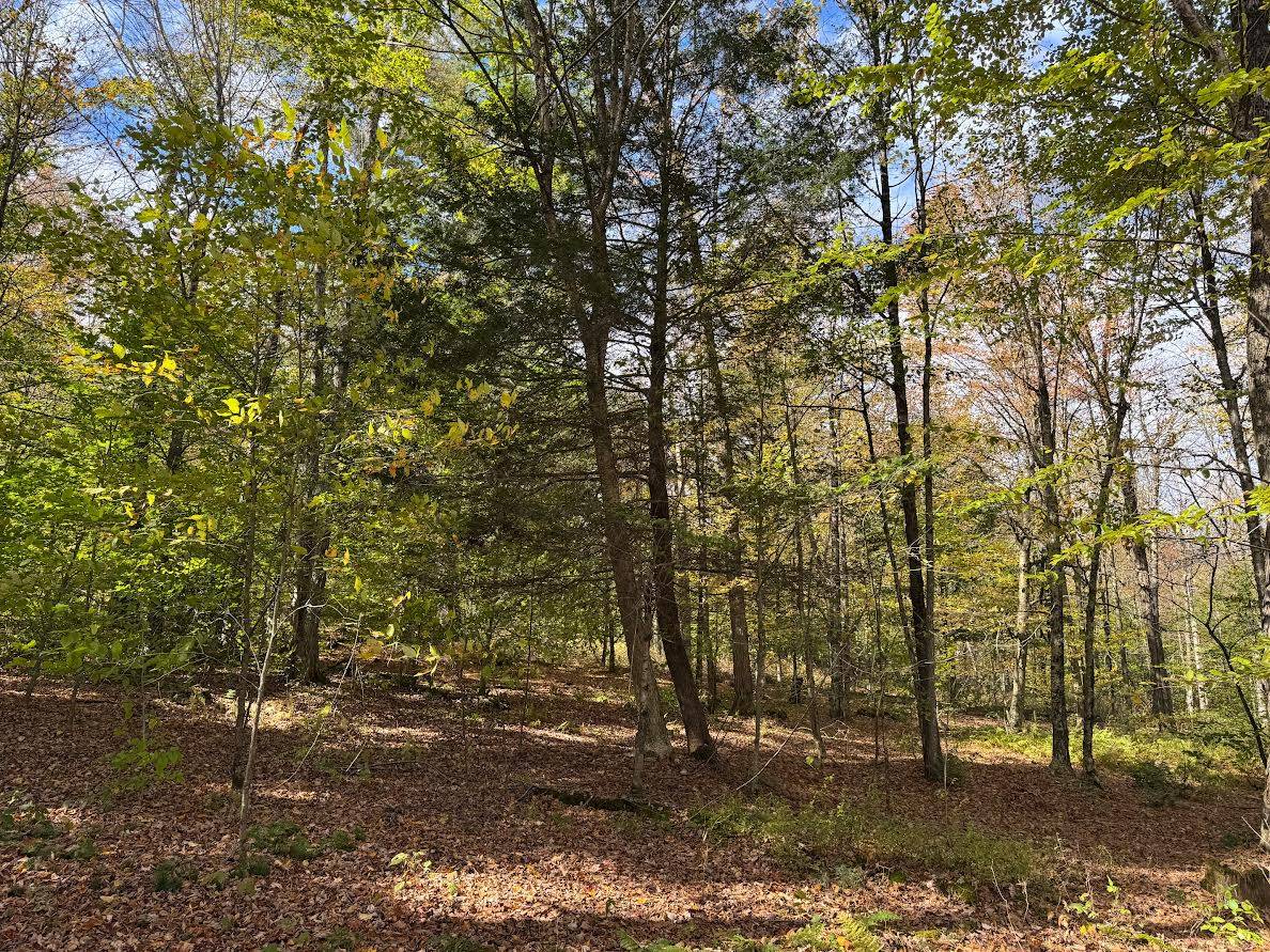 #13 photo, 491 Tamarac Rd, Oxford , NY 13830