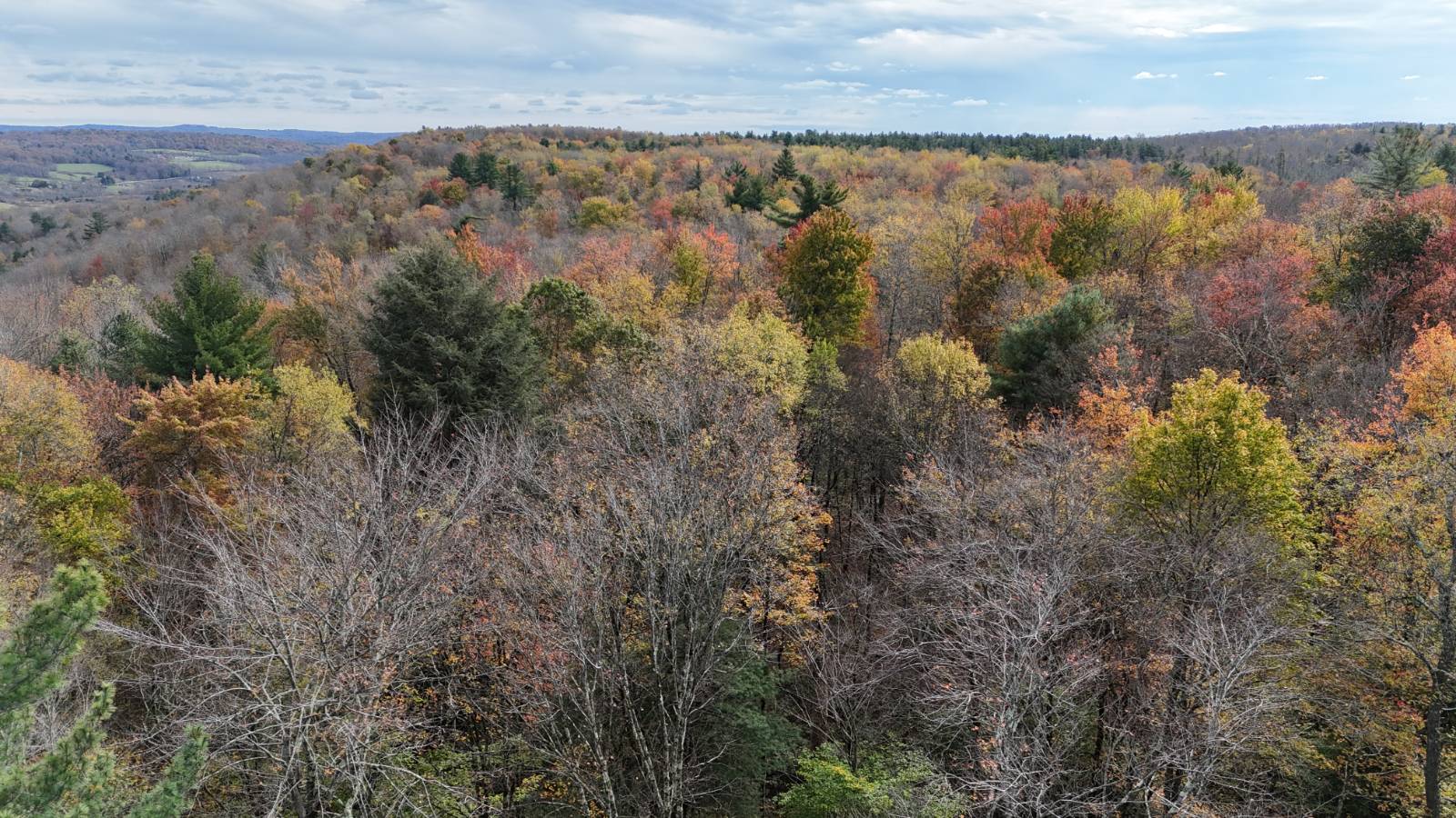 #15 photo, 491 Tamarac Rd, Oxford , NY 13830