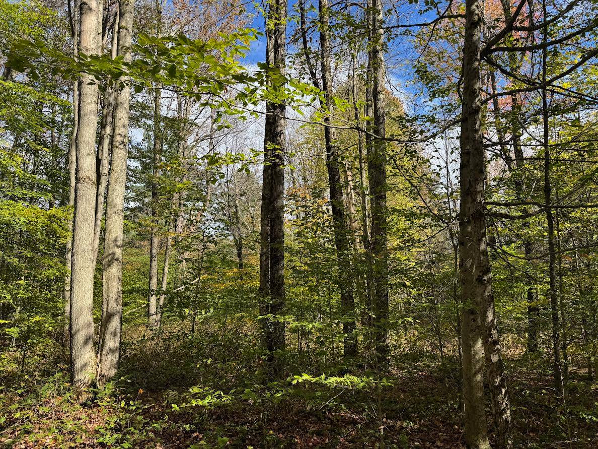 #16 photo, 491 Tamarac Rd, Oxford , NY 13830