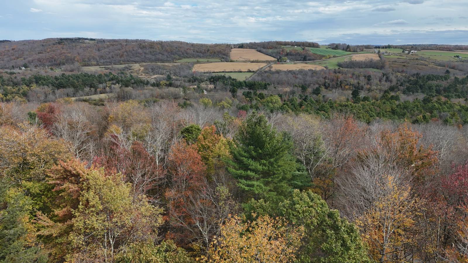 #17 photo, 491 Tamarac Rd, Oxford , NY 13830