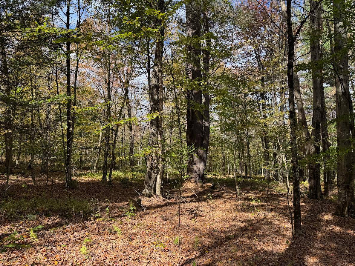 #2 photo, 491 Tamarac Rd, Oxford , NY 13830