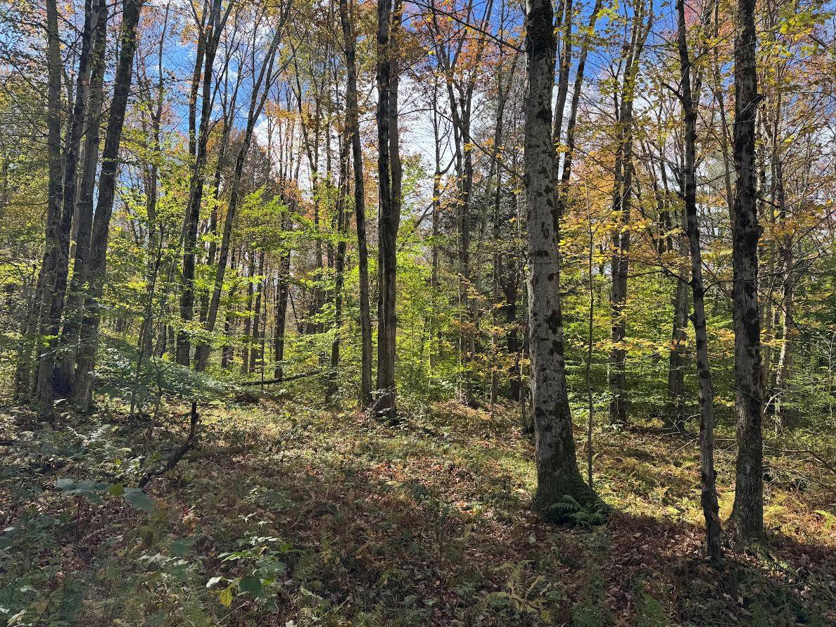 #21 photo, 491 Tamarac Rd, Oxford , NY 13830