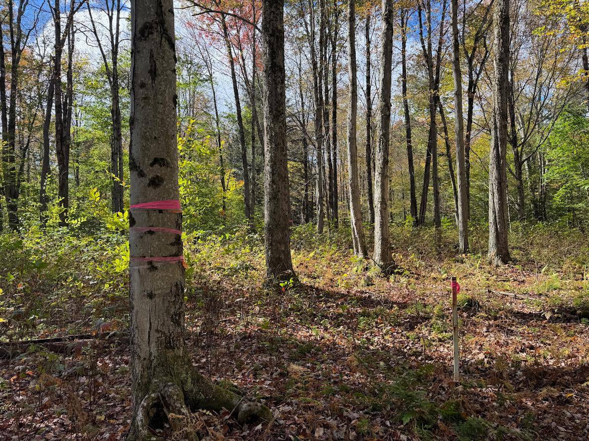 #22 photo, 491 Tamarac Rd, Oxford , NY 13830