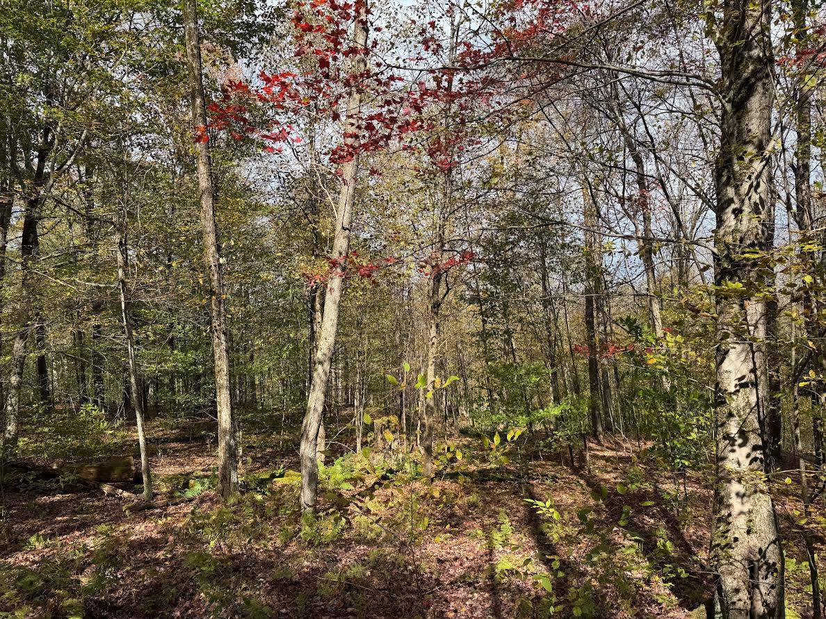 #26 photo, 491 Tamarac Rd, Oxford , NY 13830