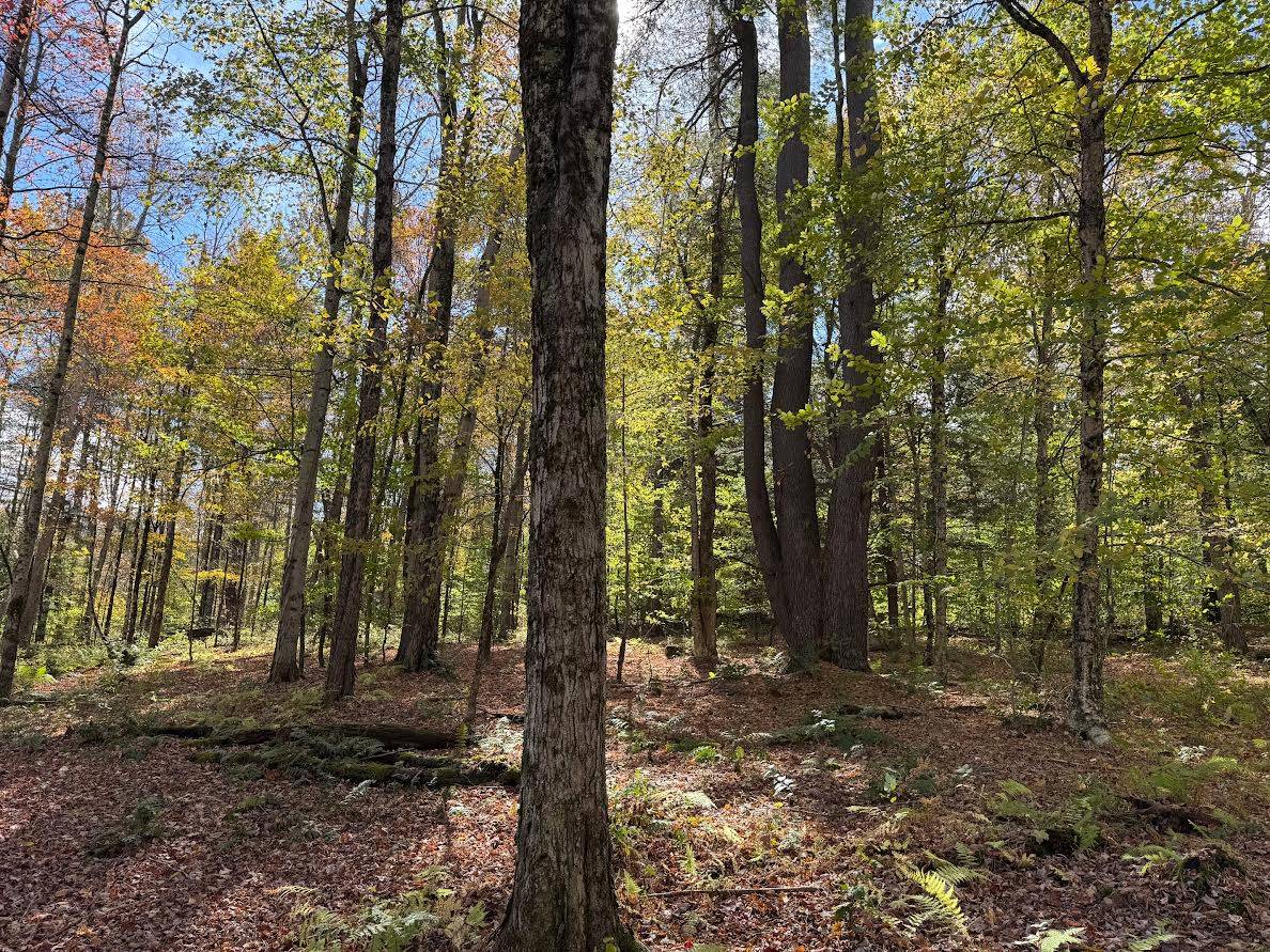 #27 photo, 491 Tamarac Rd, Oxford , NY 13830