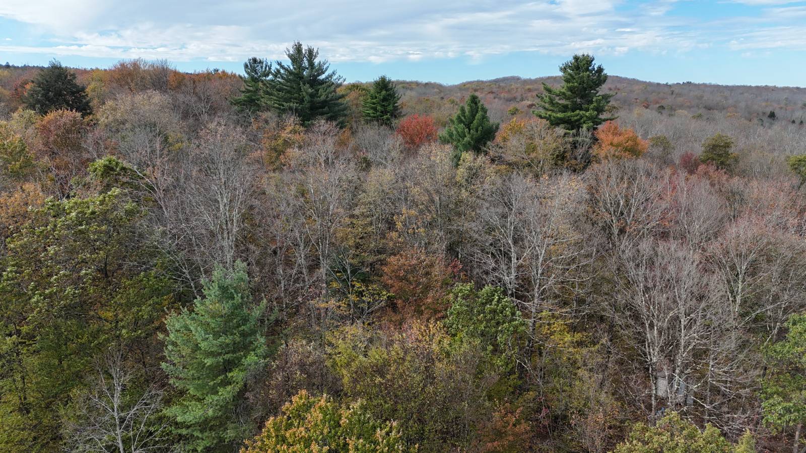 #3 photo, 491 Tamarac Rd, Oxford , NY 13830