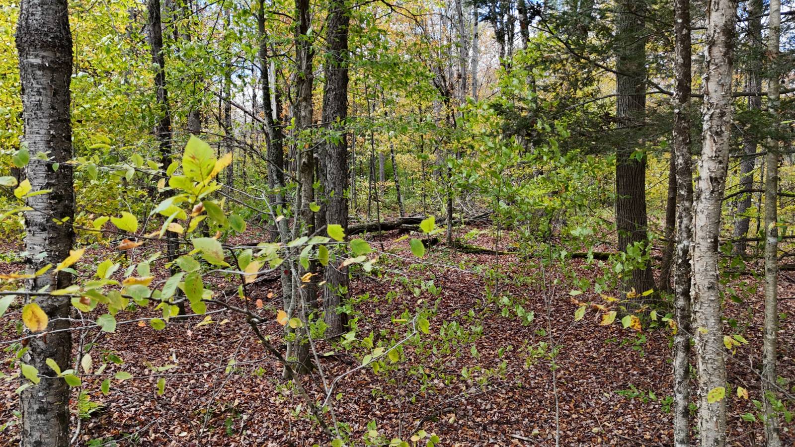 #7 photo, 491 Tamarac Rd, Oxford , NY 13830